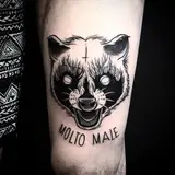 Profilo Instagram di Il Circo Nero Tattoo