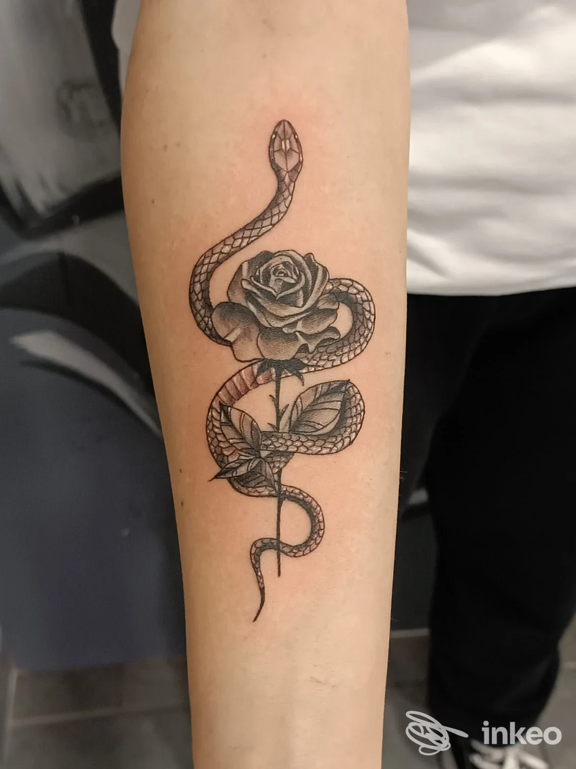 Tattoo su avambraccio: serpente avvolto intorno a una rosa in stile linework, in pelle umana, zona avambraccio, Tattoo studio Unique Arts Tattoo.