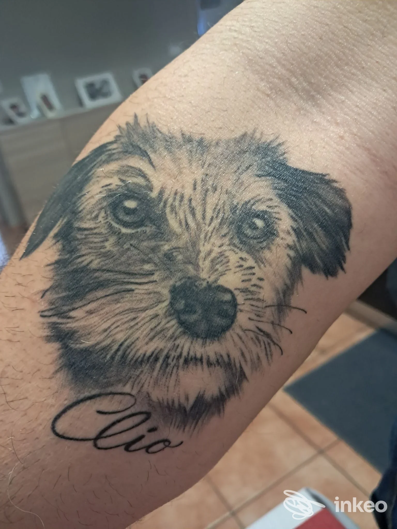Bruko Tattoo, Milano: tattoo su avambraccio raffigurante la testa di un cane realistico con firma in corsivo 'Clio', realizzato su pelle.