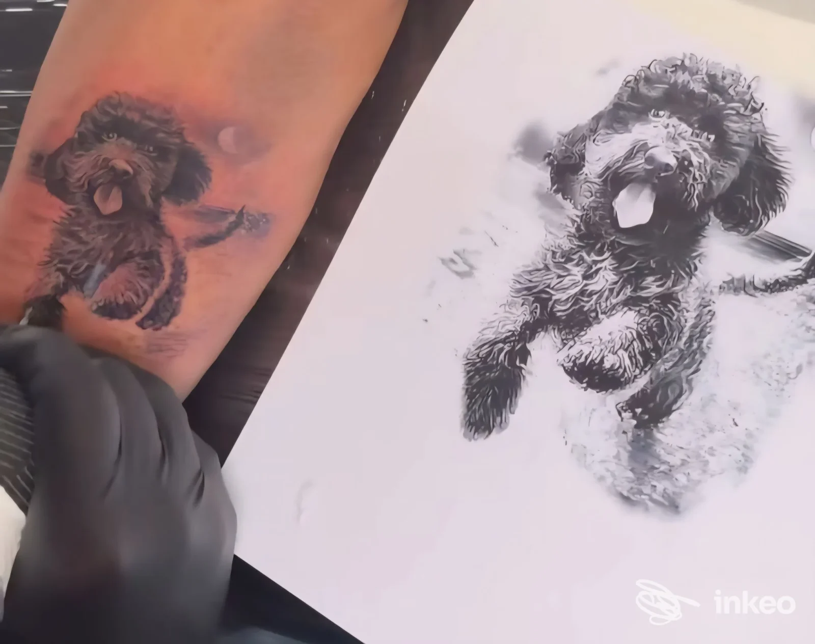 Tatuaggio reale su pelle raffigurante un cane in corsa, visibile sul braccio, con disegno stampato su carta accanto per confronto.
