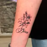 Profilo Instagram di Iseo Tattoo Studio