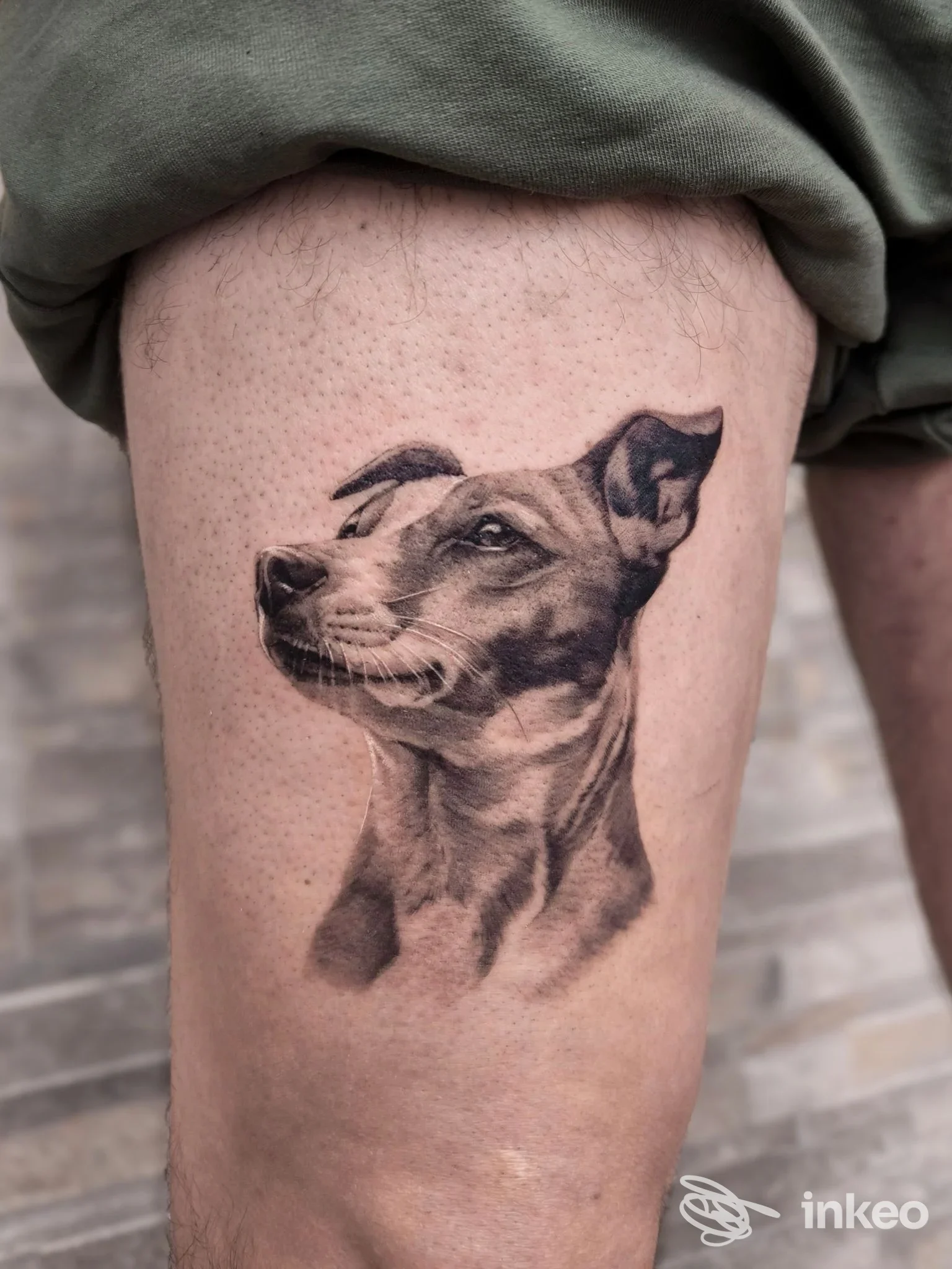 Tattoo su pelle raffigurante un cane sulla coscia, eseguito presso Rosanna Cafarella (città non specificata).