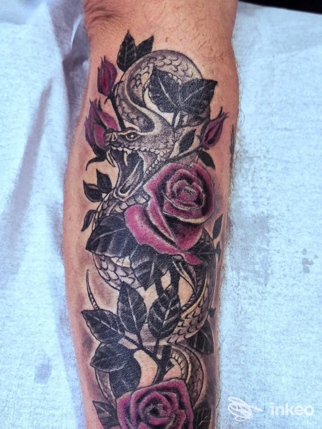 Tattoo su avambraccio raffigurante un drago intrecciato a rose viola, colori vividi e bordi netti, realizzata sulla pelle.