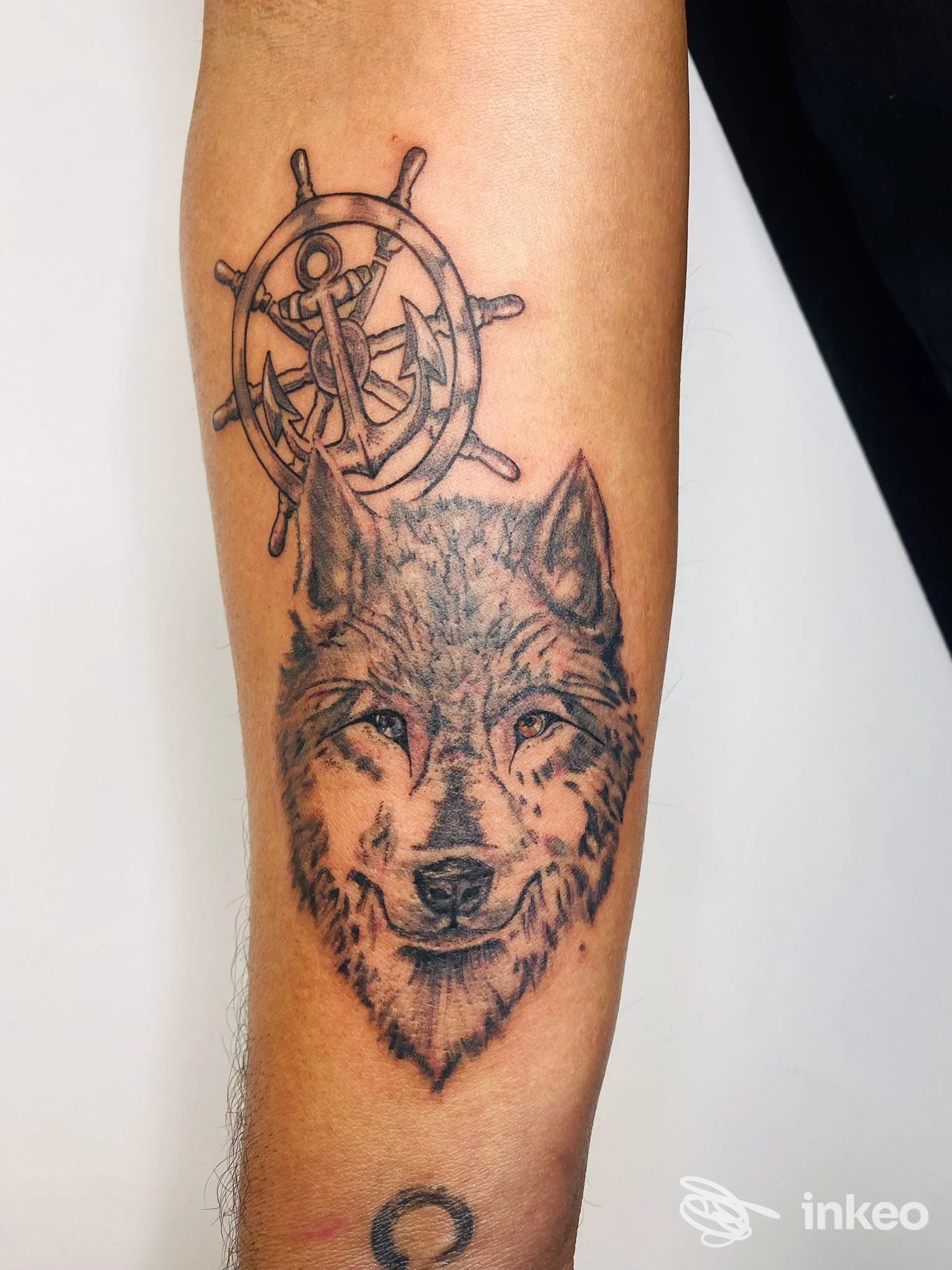 Tattoo sull'avambraccio raffigurante una testa di lupo con timone navale sullo sfondo, realizzato in tonalità nere e grigie.