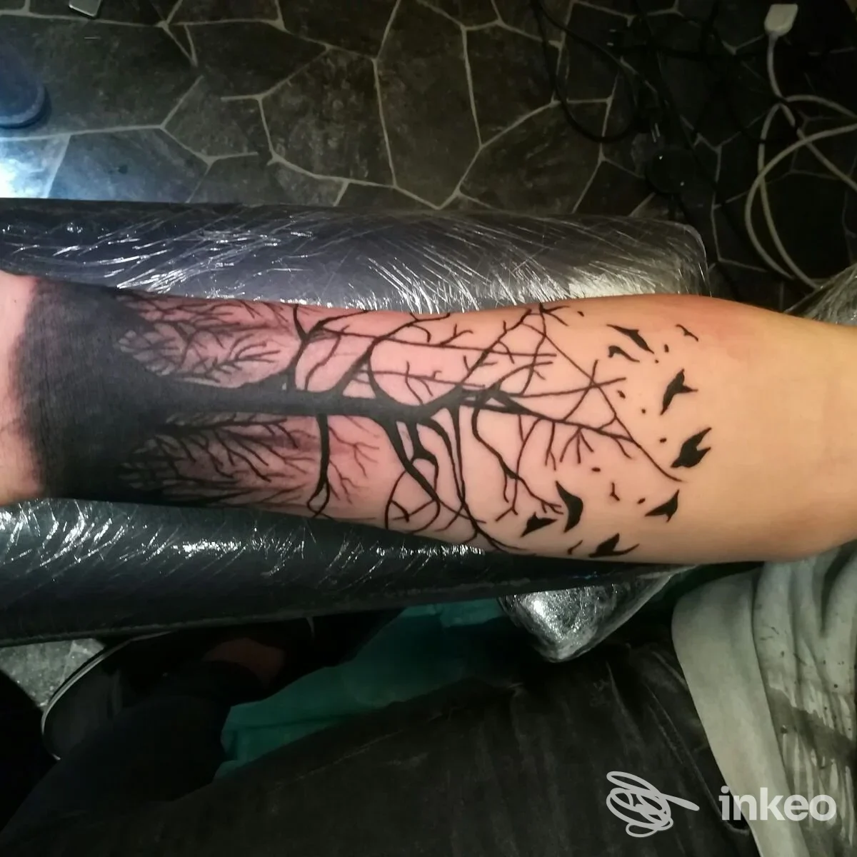 Tattoo sul braccio raffigurante un albero con rami spogli e piccoli uccelli neri in volo, realizzato direttamente sulla pelle.