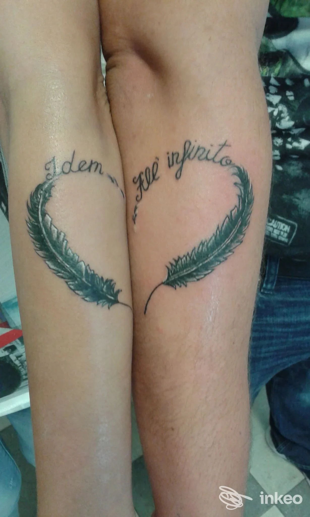 Due avambracci mostrano due tatuaggi a piuma che formano un arto a semicerchio, con scritte in corsivo sopra, visibili sulla pelle.