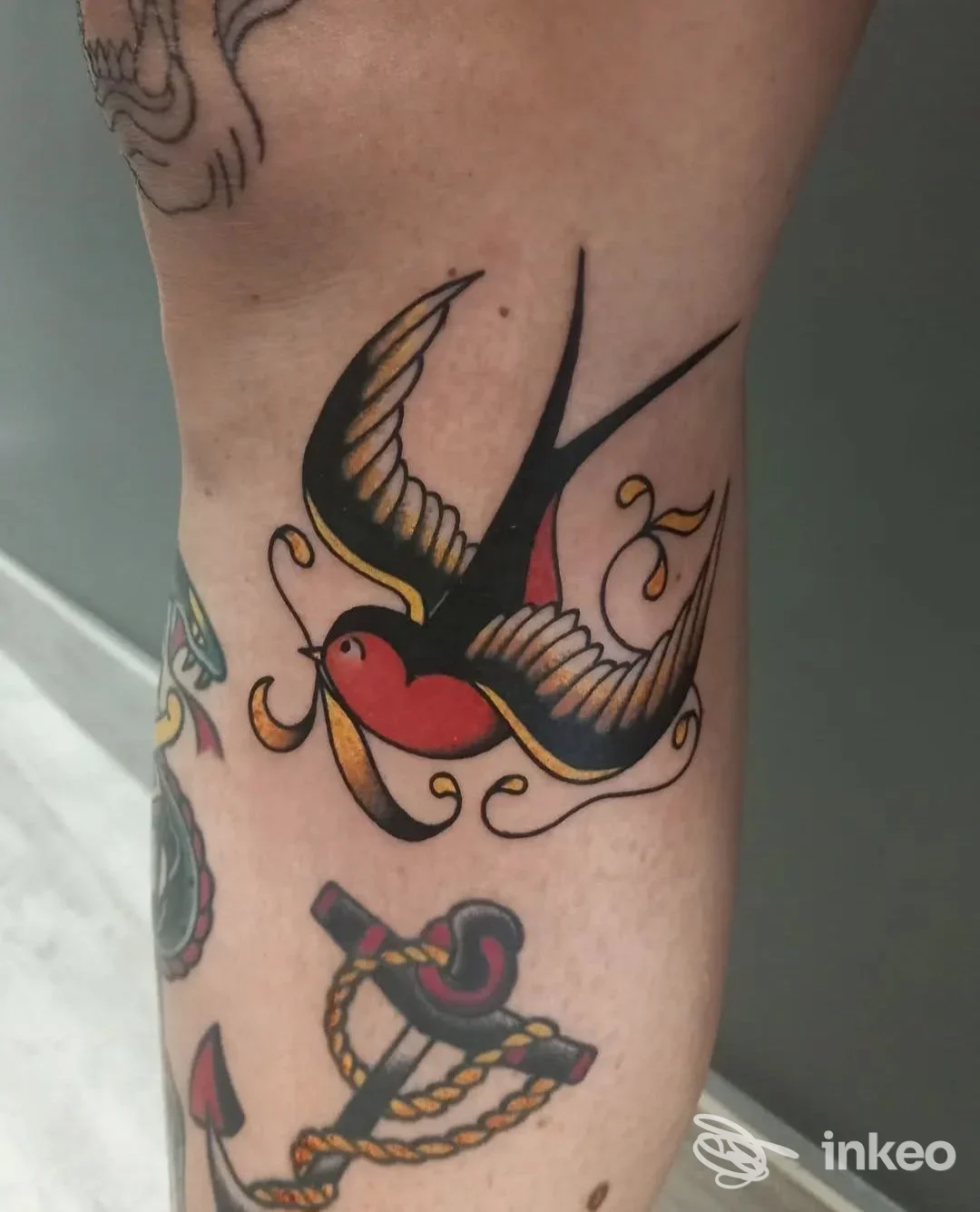 Avambraccio con tatuaggio di rondine colorata e dettagli dorati, bordo superiore del tatuaggio visibile, presenza di una seconda grafica parziale con una ancora e corde.