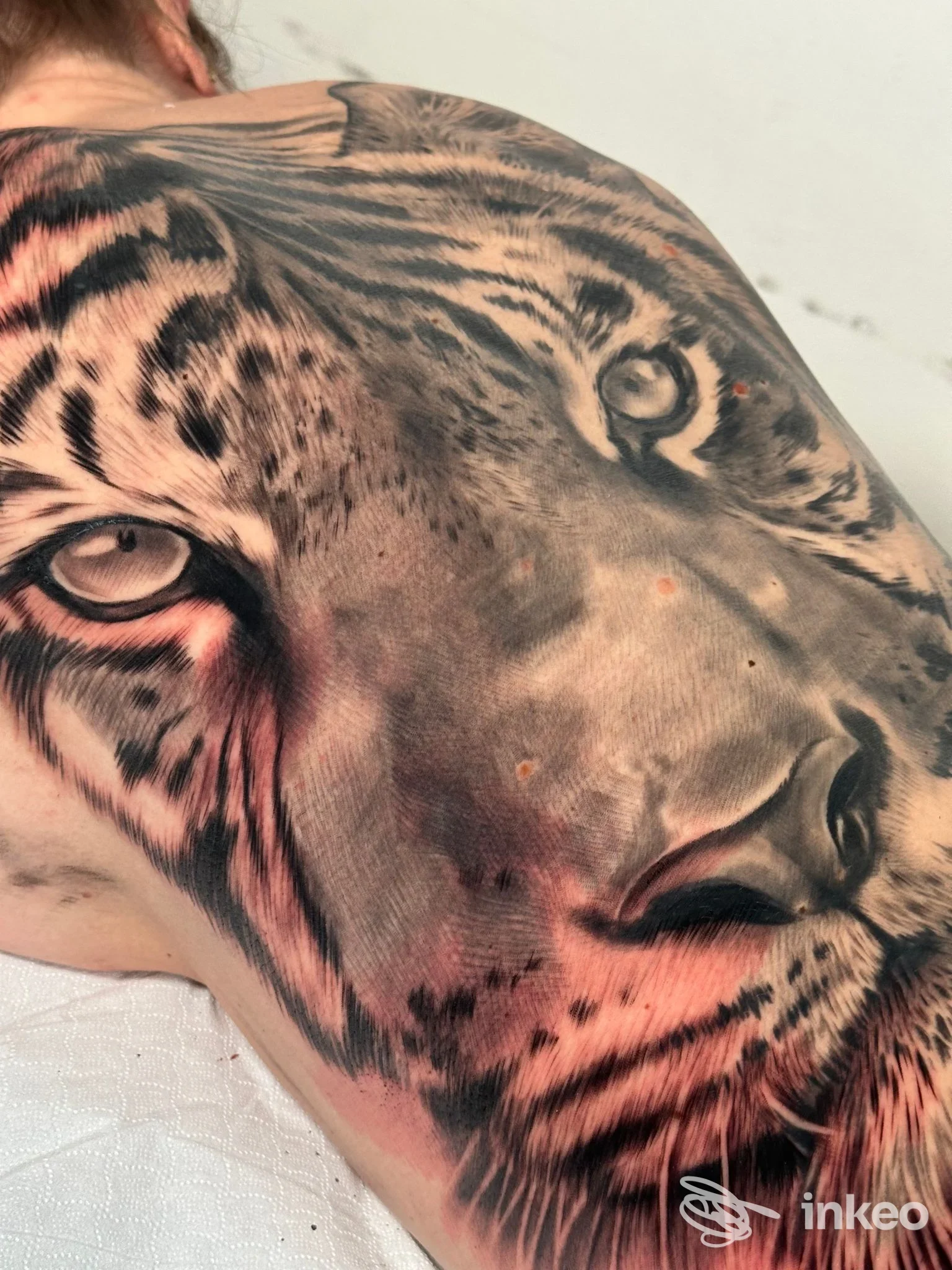 Tattoo realistico di un leone tigre sulla spalla e parte del torace, con tonalità e dettagli naturali sulla pelle.