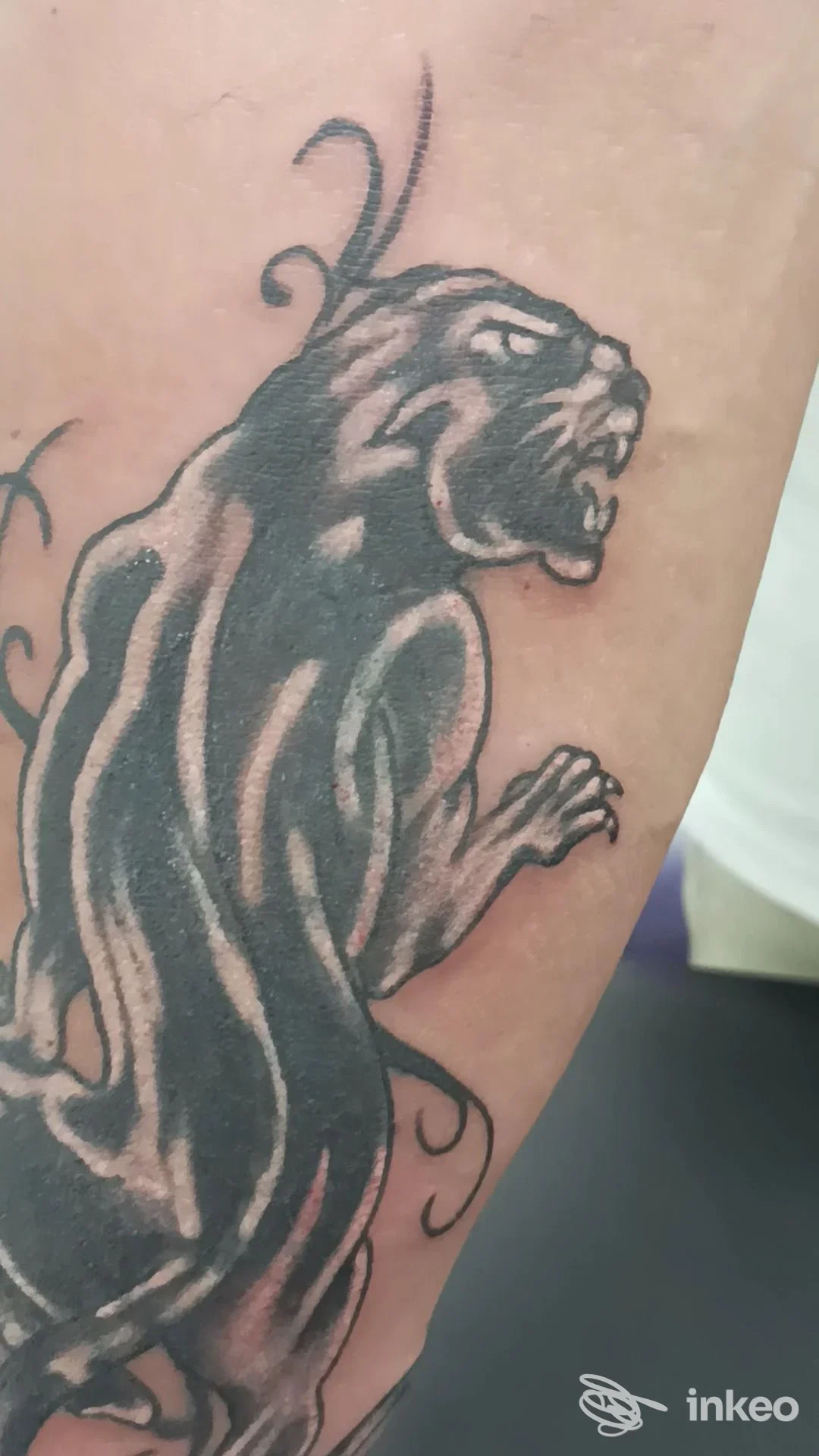 Tattoo su avambraccio raffigura una pantera scura, contorni netti e sfumature, visibile una sola porzione di corpo senza volto.
