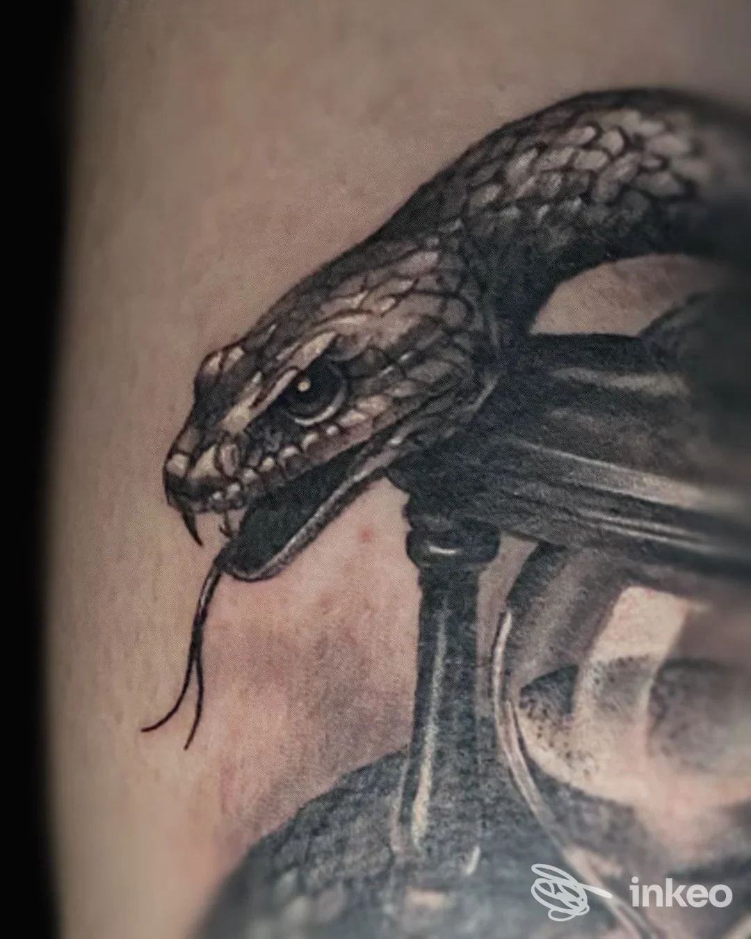 Tatuaggio su pelle raffigurante una testa di serpente, visibile sul braccio, con linee nitide e shading.