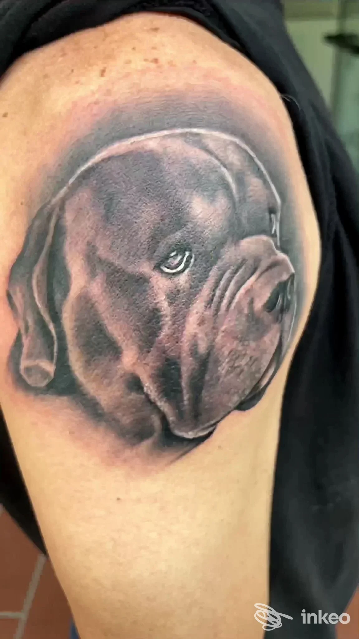 Tattoo realistico di una testa di cane sulla spalla, eseguito direttamente sulla pelle.