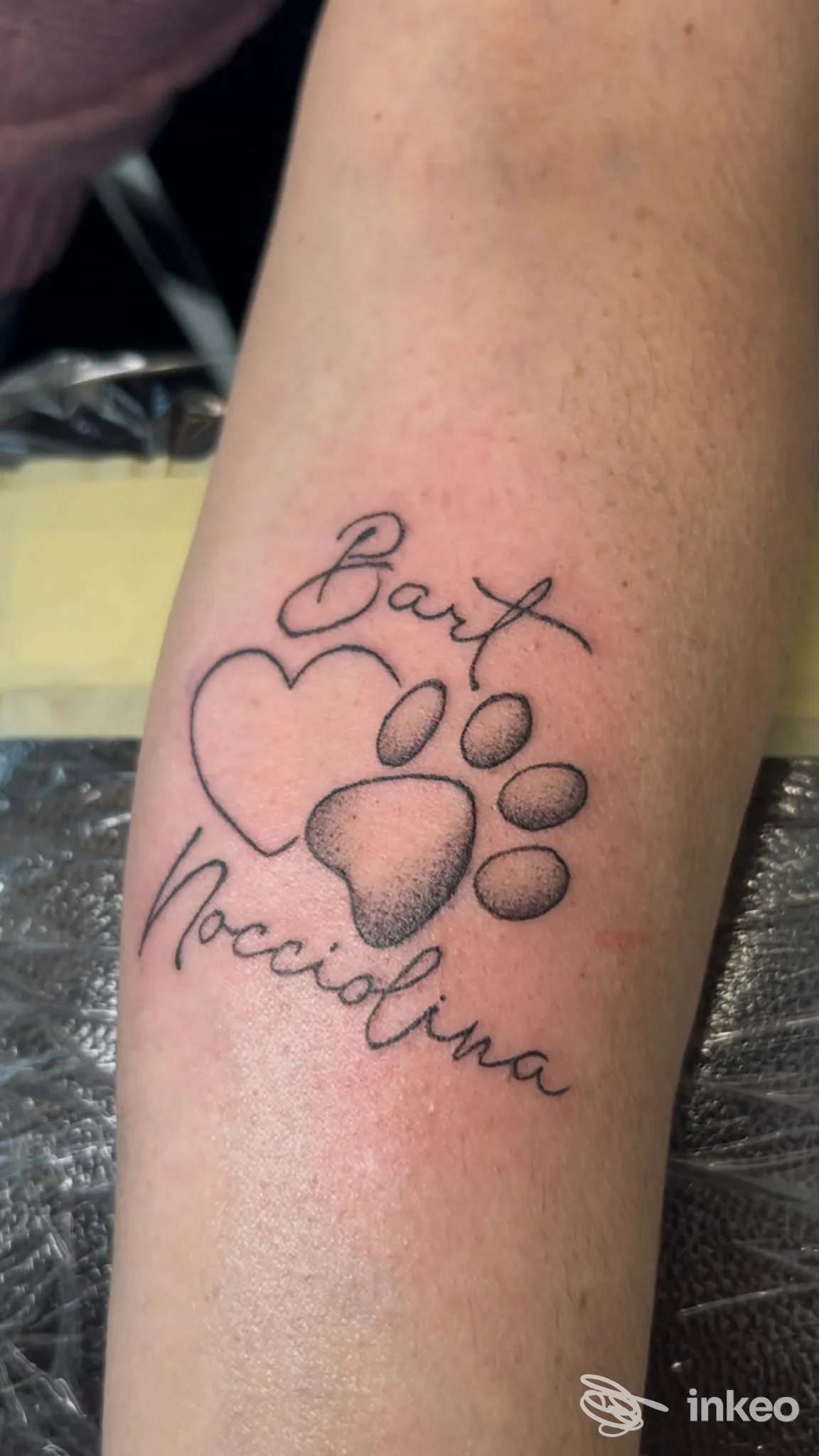 Tatuaggio sull’avambraccio: cuore, zampa e nome Nocciolina, realizzato da Little Paul Tattoo Studio a Cilavegna.