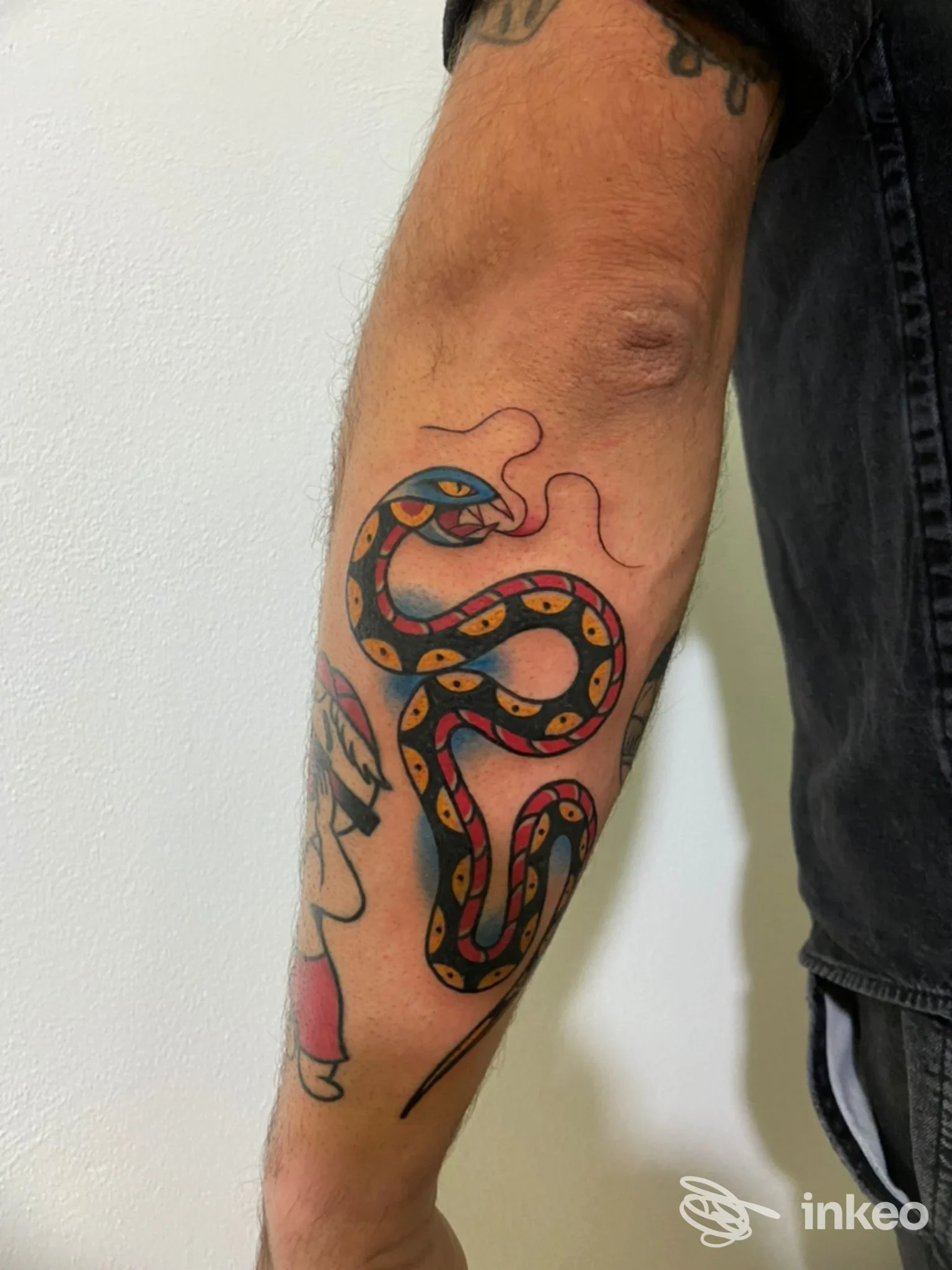Tattoo snake colorato sull’avambraccio sinistro, lucido e ben definito, con sfondo neutro e nessun testo o interfaccia visibile.