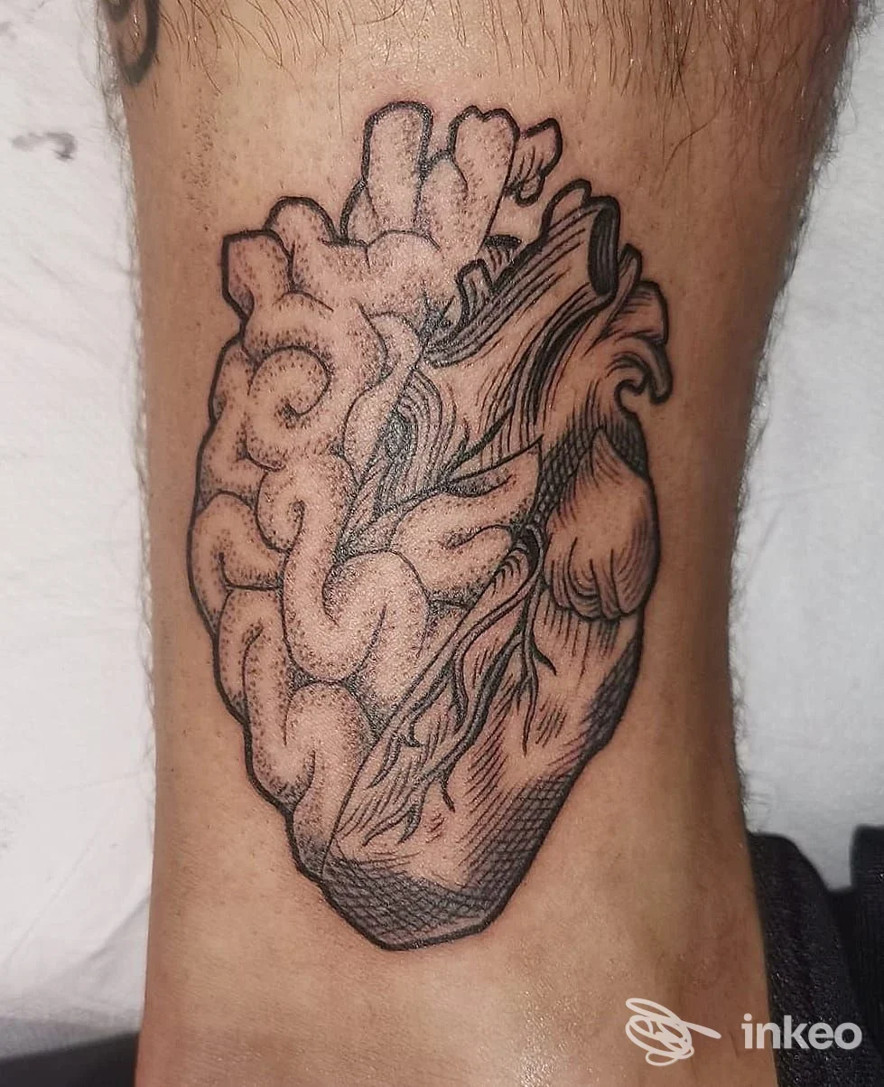 Tattoo anatomico a cuore sull'avambraccio, contorni neri e riempimento puntinato, visibile su pelle reale senza volto o elementi di contorno.