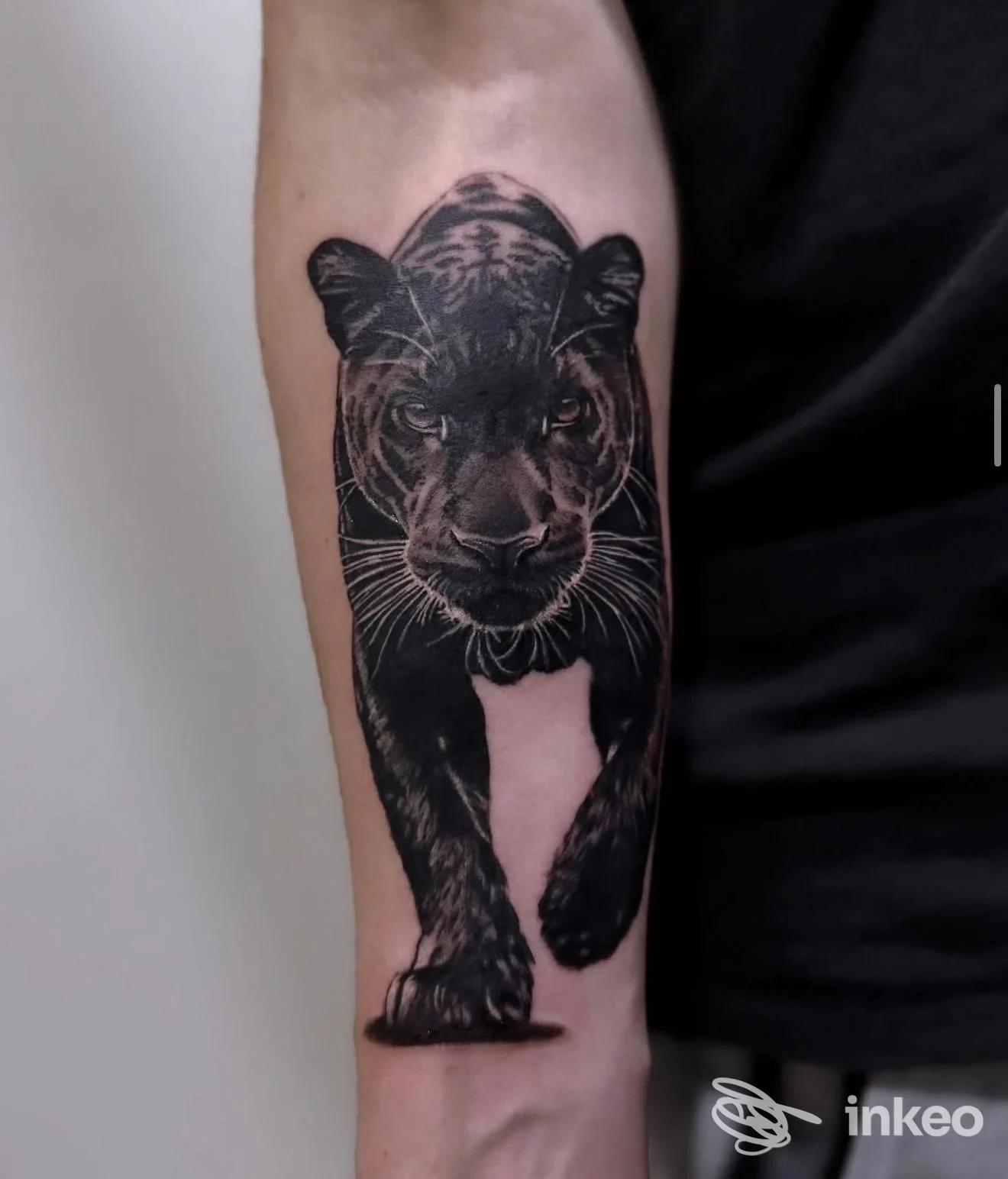 Tatuaggio realistico in tonalità scure di una tigre sull'avambraccio di una persona, senza elementi di background o testo visibile.