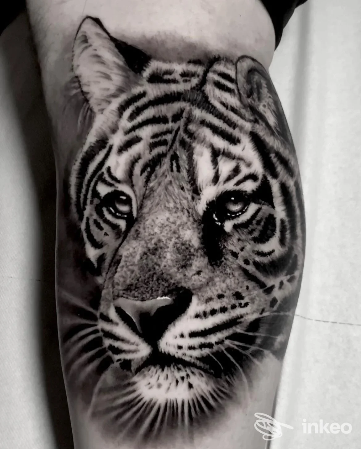 Tattoo realistico su pelle: tigre in bianco e nero sul polpaccio, con dettagli di peli e striature.