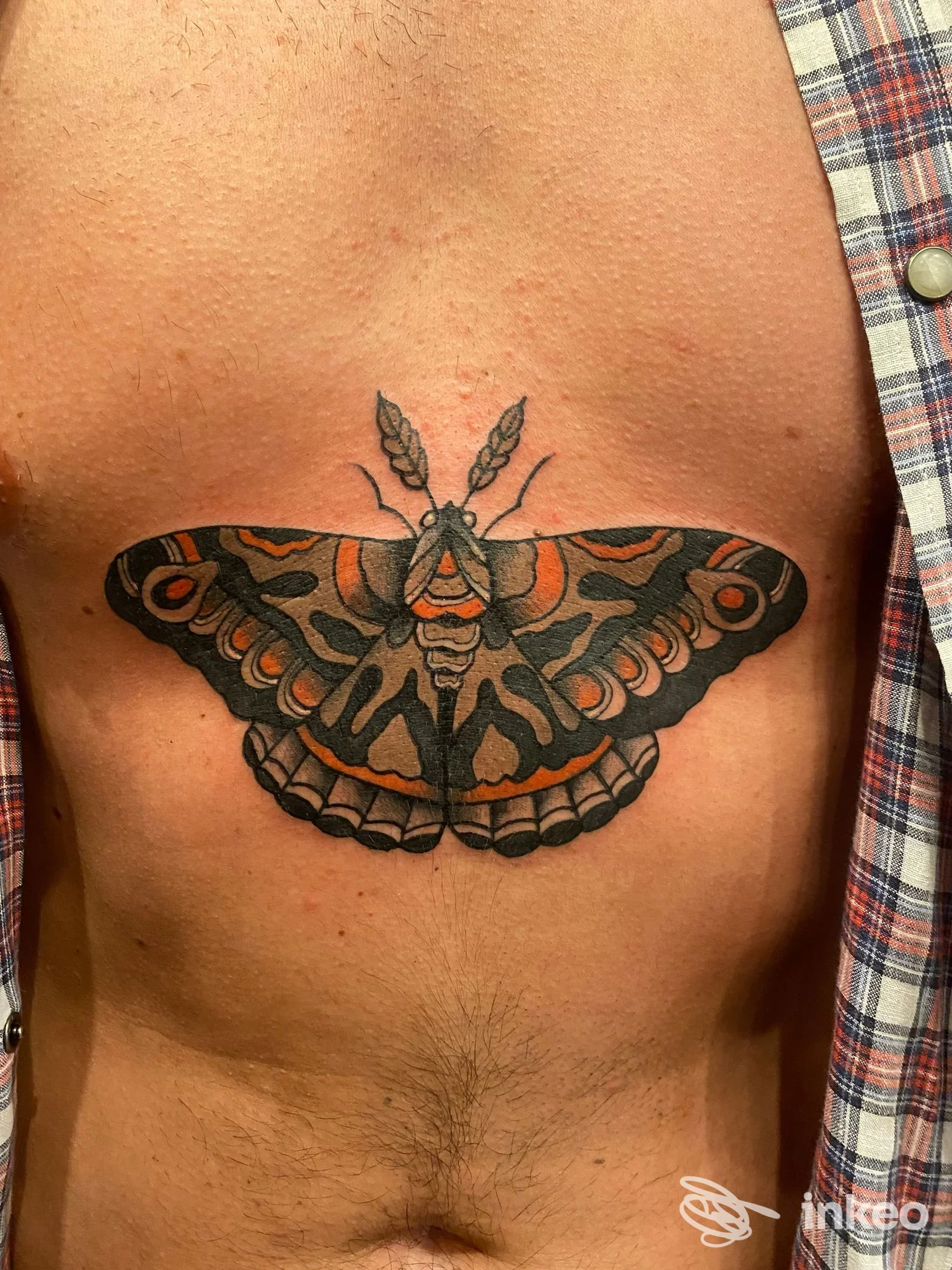Tattoo sul torace di una grande falena stilizzata con ali nere e arancioni, visibile senza volto, indossa una camicia a quadri.
