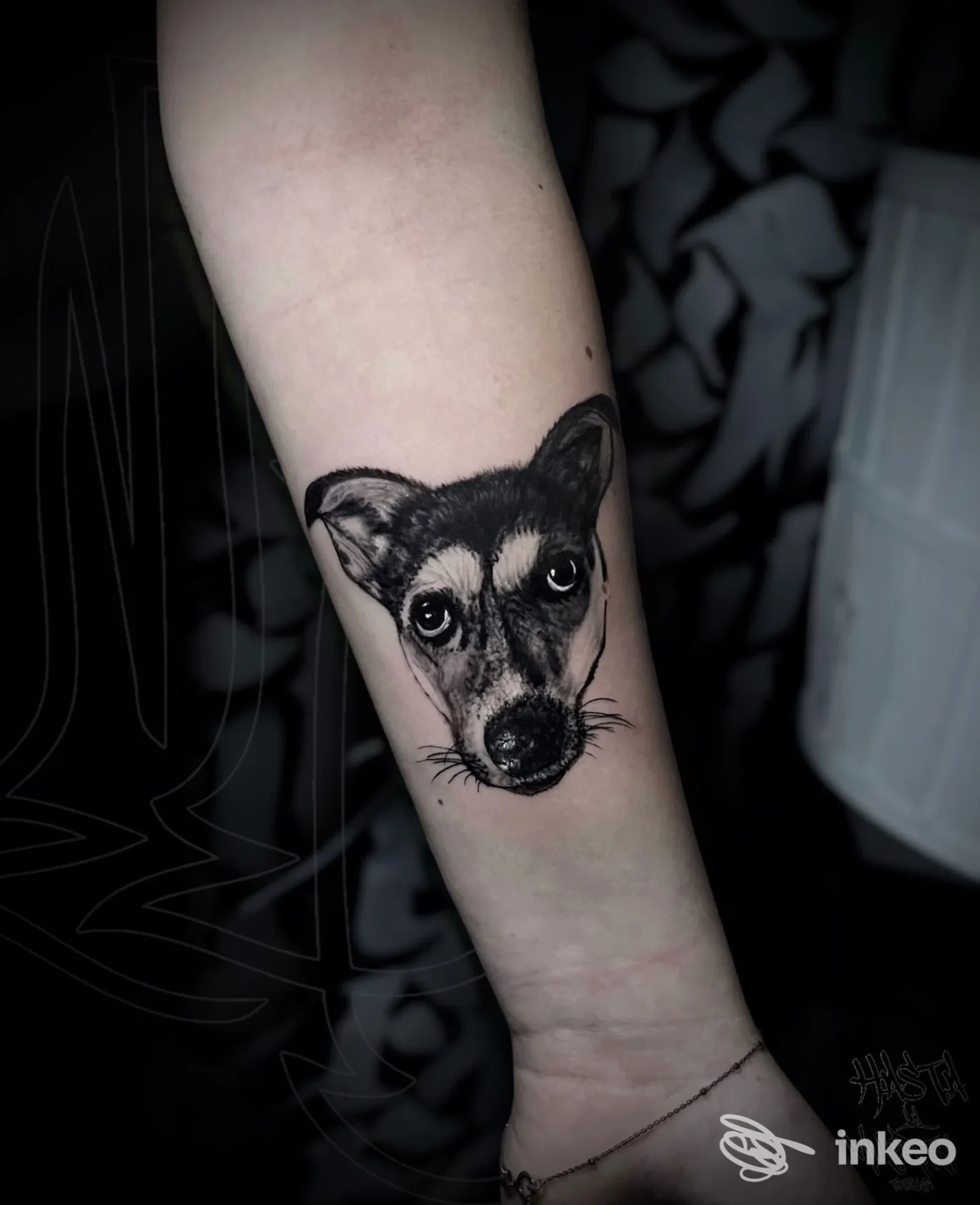 Tattoo realistico su pelle raffigurante la testa di un cane sull’avambraccio, disegno in nero-grigio senza testo o overlay, scatto singolo.