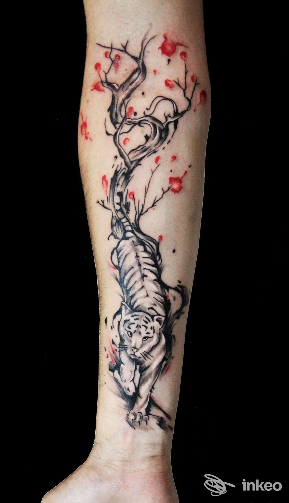 Tattoo sull'avambraccio sinistro raffigurante una tigre intrecciata a un albero nero con corone di rami e piccoli petali rossi.