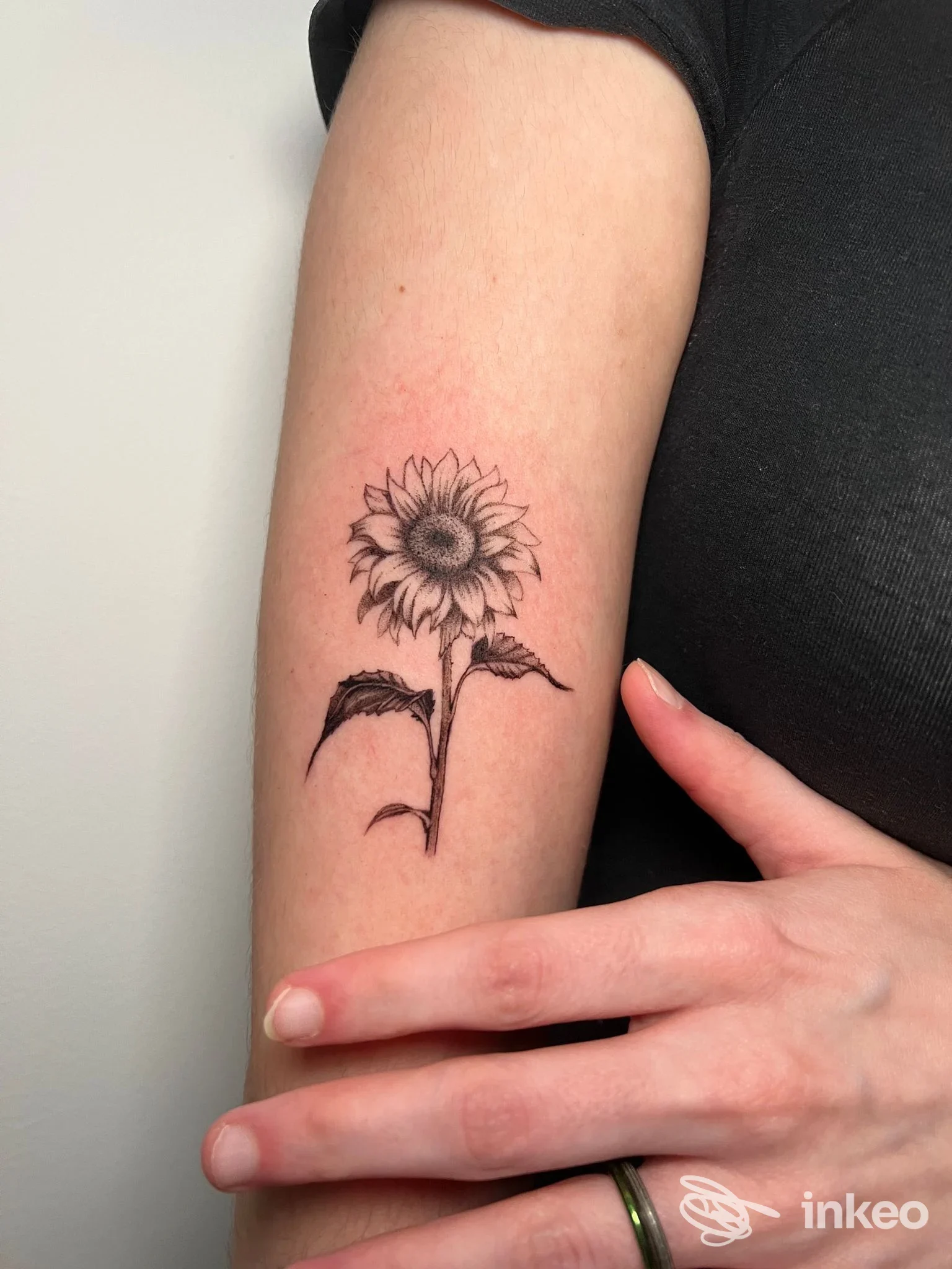 Tattoo sul braccio raffigurante un tulipano/sn sunflower, realizzato sulla pelle, visibile parte interna del braccio senza presenza di volto. The Serpent Tattoo Studio, non specificato la città.