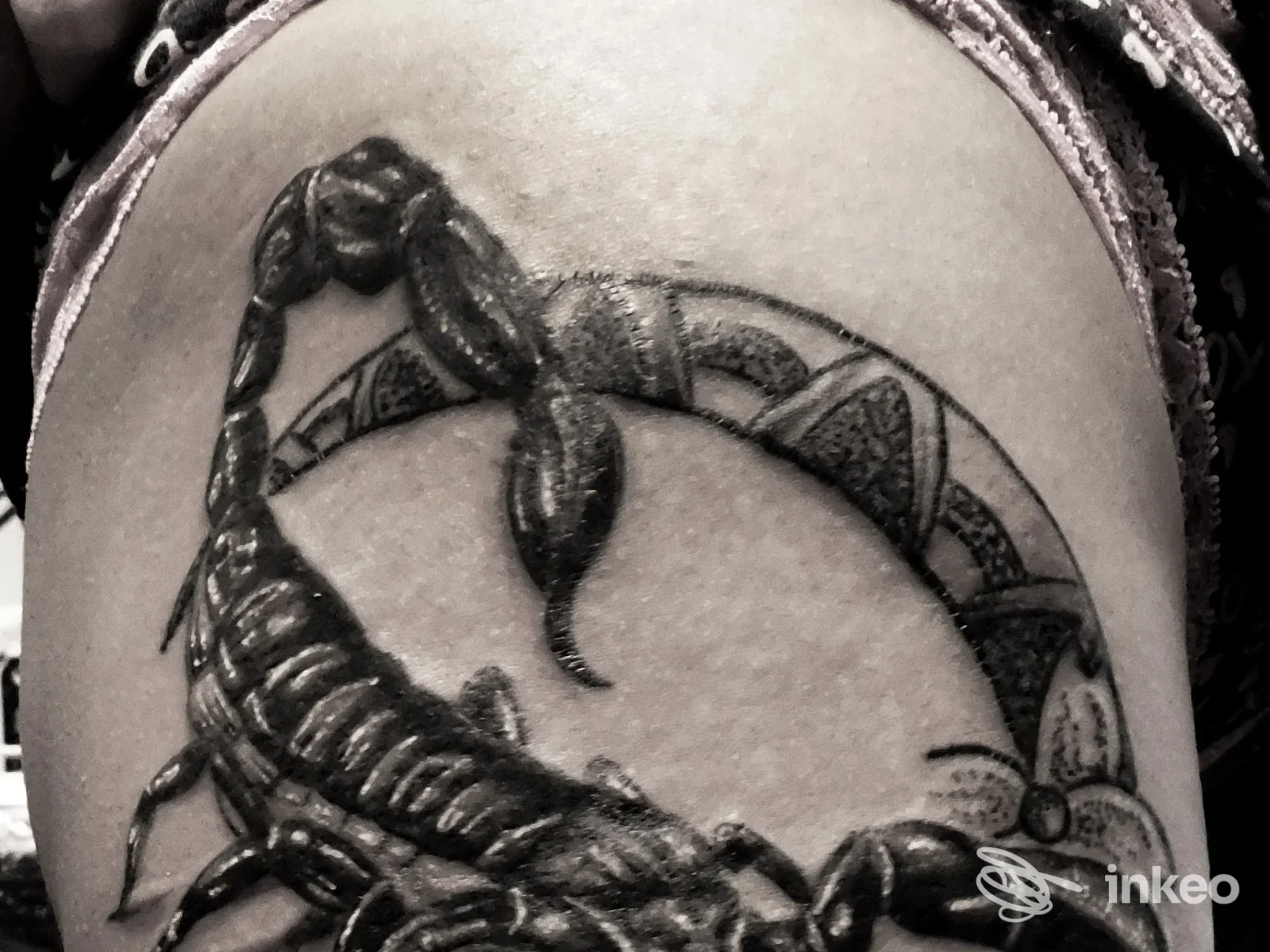 Tatuaggio in nero su pelle di braccia raffigurante una creatura serpentiforme con dettagli geometrici e linee marcate. Non si vede volto umano.