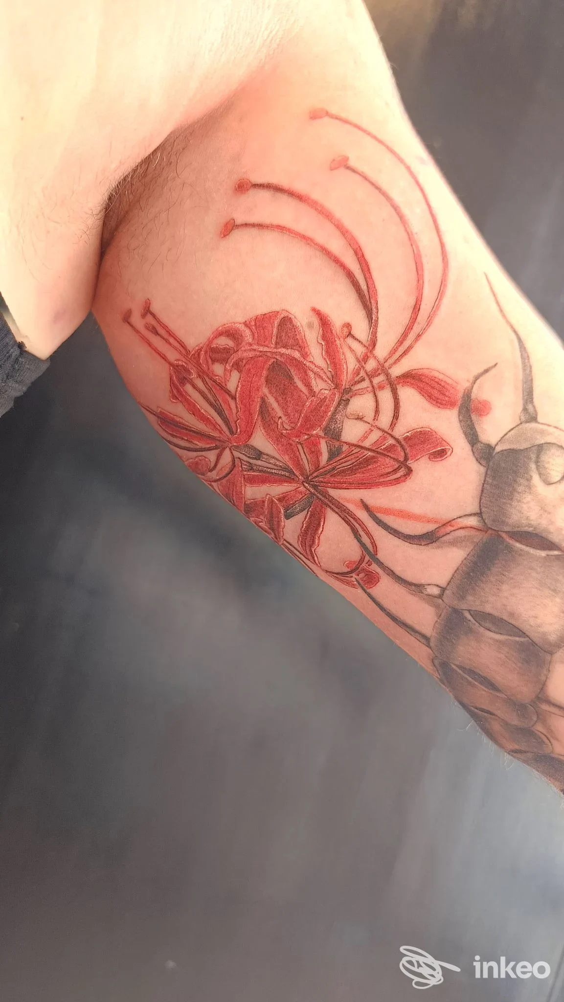Tatuaggio floreale rosso su braccio, realizzato sulla pelle, scatto singolo.