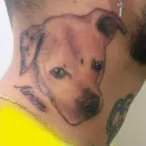 Profilo Instagram di Dän Ink