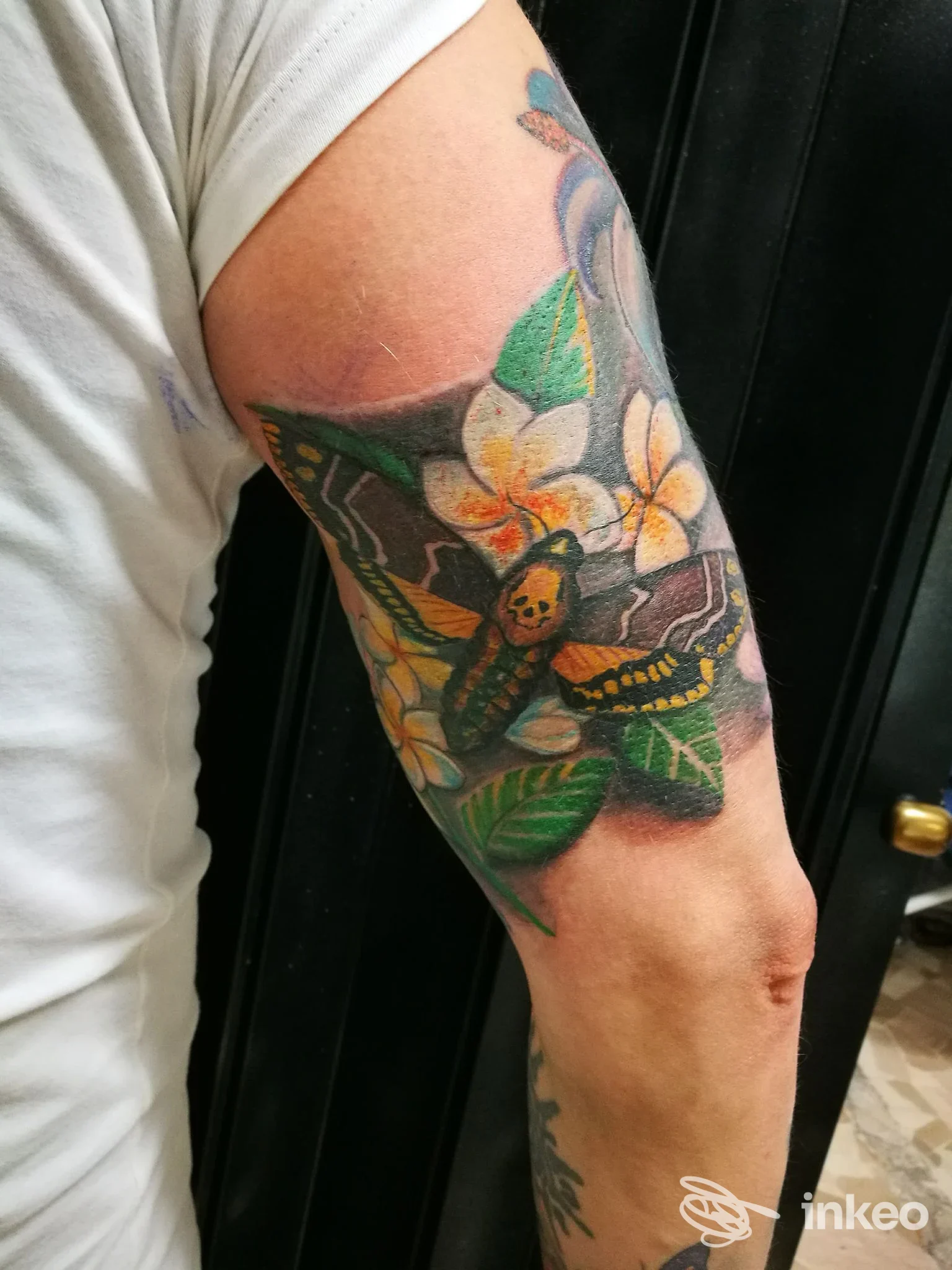 Tattoo colorato sull’avambraccio sinistro, featuring una farfalla o falena e fiori, visibile in fotografia singola senza volto rivelato, scatto verticale in studio o corridoio. Studio Inkranium Tattoo.