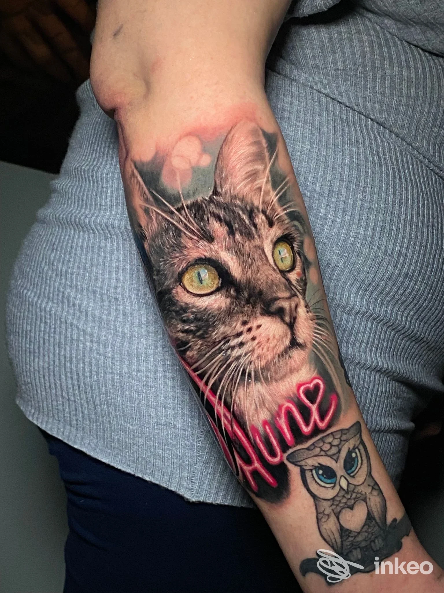 Tatuaggio realistico di un gatto con occhi verdi su avambraccio, accompagnato da decorazioni rosa e un piccolo disegno di una civetta; colori vividi e dettagli nitidi.