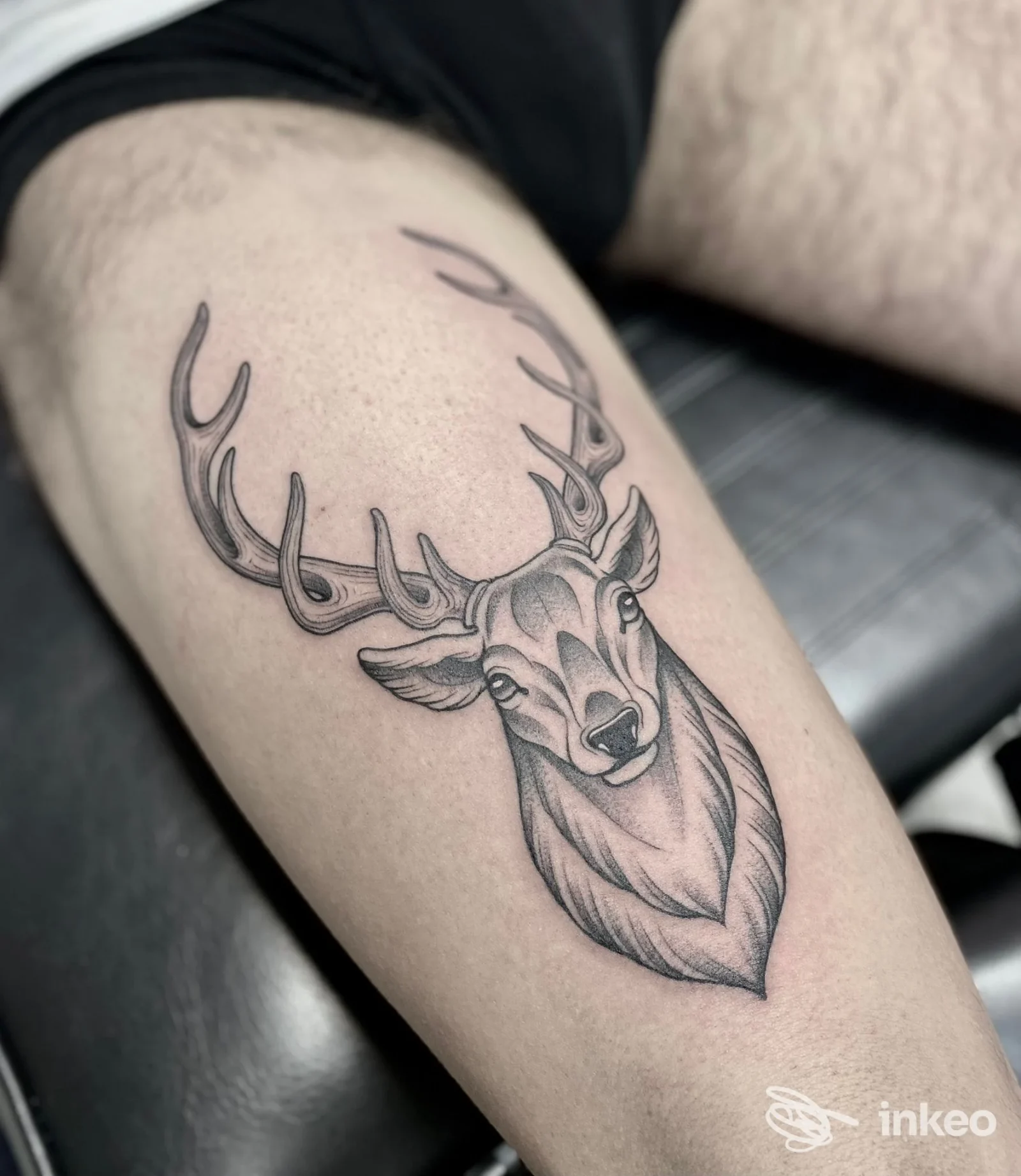 Tat tattoo realistico di un cervo su pelle chiara della gamba, con linee definite e shading, senza testo né elementi promozionali visibili.