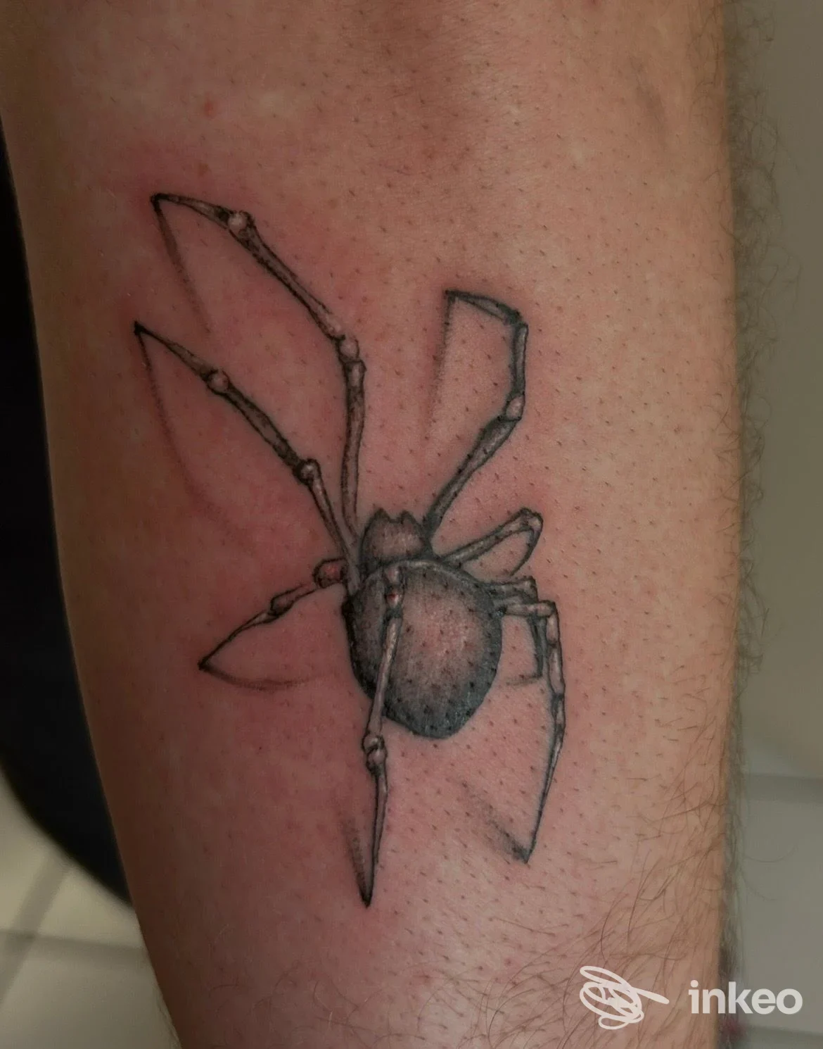 Tatuaggio nero su pelle chiara: ragno stilizzato sull’avambraccio, nessun volto visibile o testo sovrapposto.