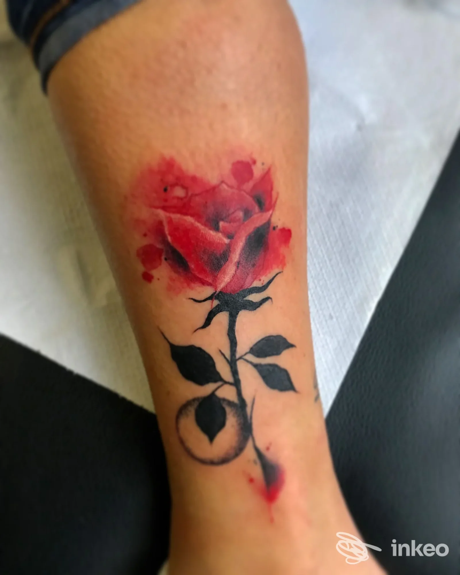Tatuaggio su avambraccio di rosa rossa con gambo e foglie nere, realizzato sulla pelle, senza elementi di social media o testo sovrapposto.