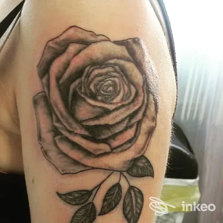 Tattoo realistico di una rosa nera e grigia su braccio, dettagliati petali e sfumature di grigio. Studio Tattoo Jackson, località non specificata.