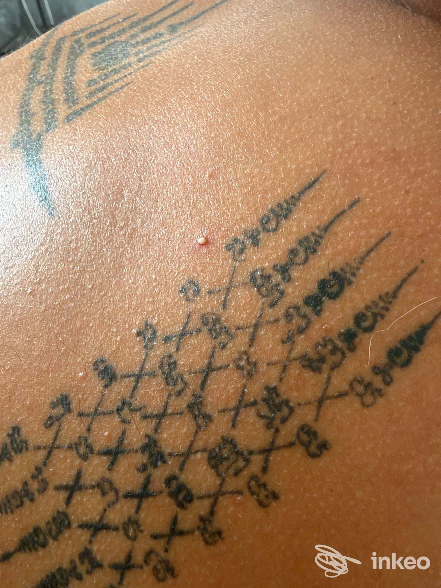 Dettaglio di tatuaggio black lettering su pelle fotografato dall'artista Studio Test INKEO 2; linee e scritte nere visibili in primo piano.