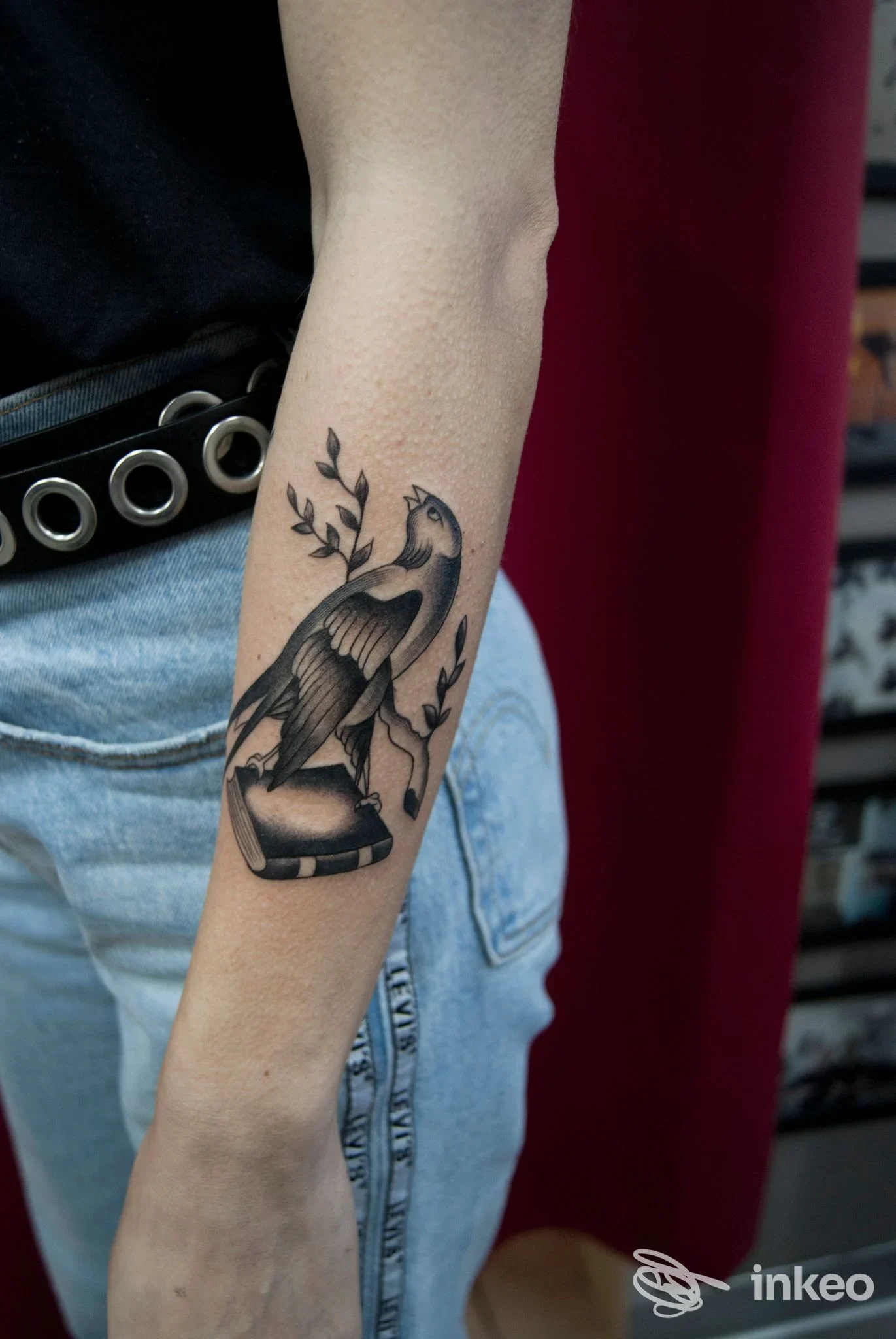Tattoo sul braccio raffigurante un uccello appollaiato tra rami, eseguito sulla pelle di una persona; a sinistra si intravede una cintura con occhielli e jeans, sfondo sfumato.
