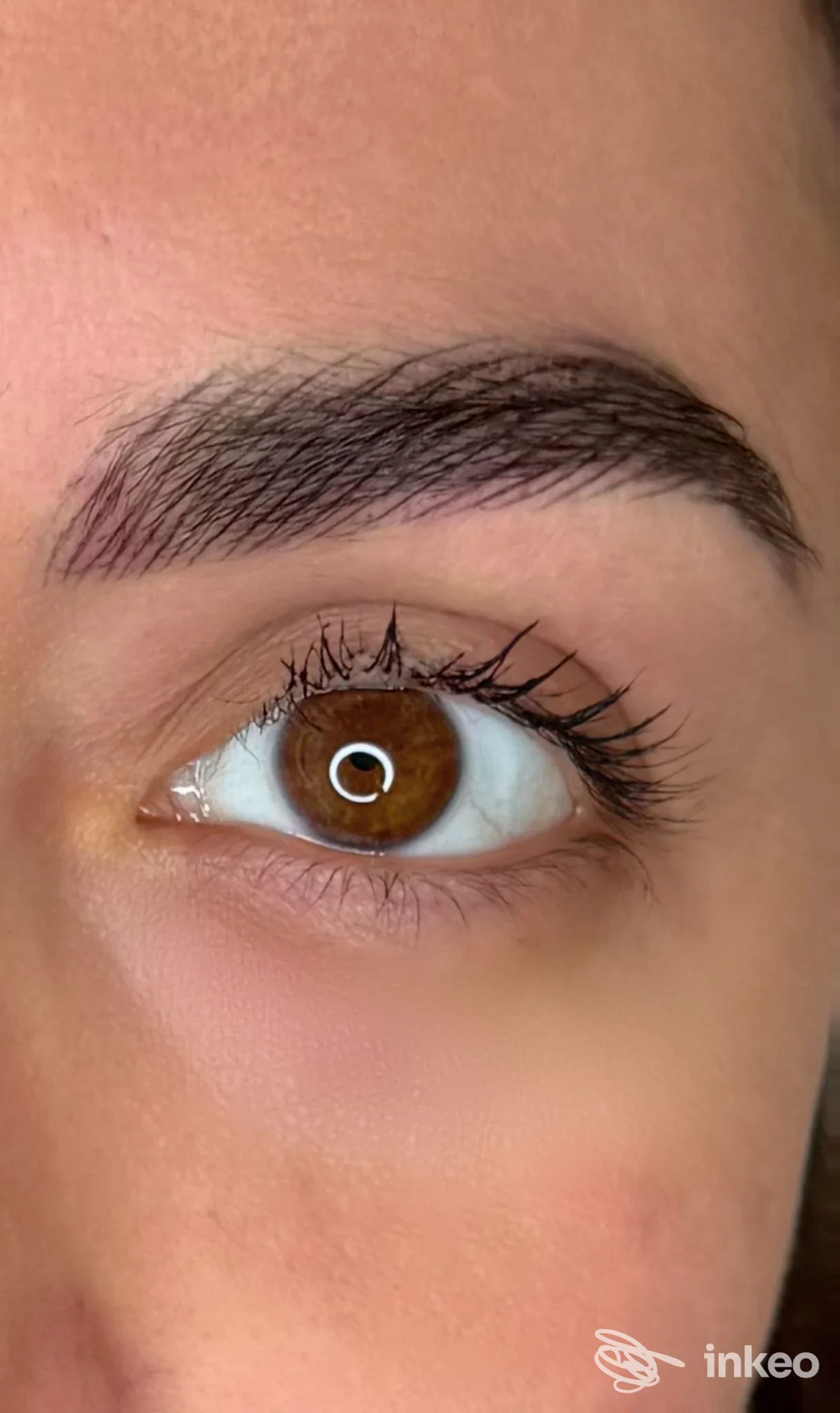 Sopracciglia tatuate visibili su pelle, tratto di trucco permanente evidenziato vicino all’occhio, inquadratura ravvicinata sul volto.