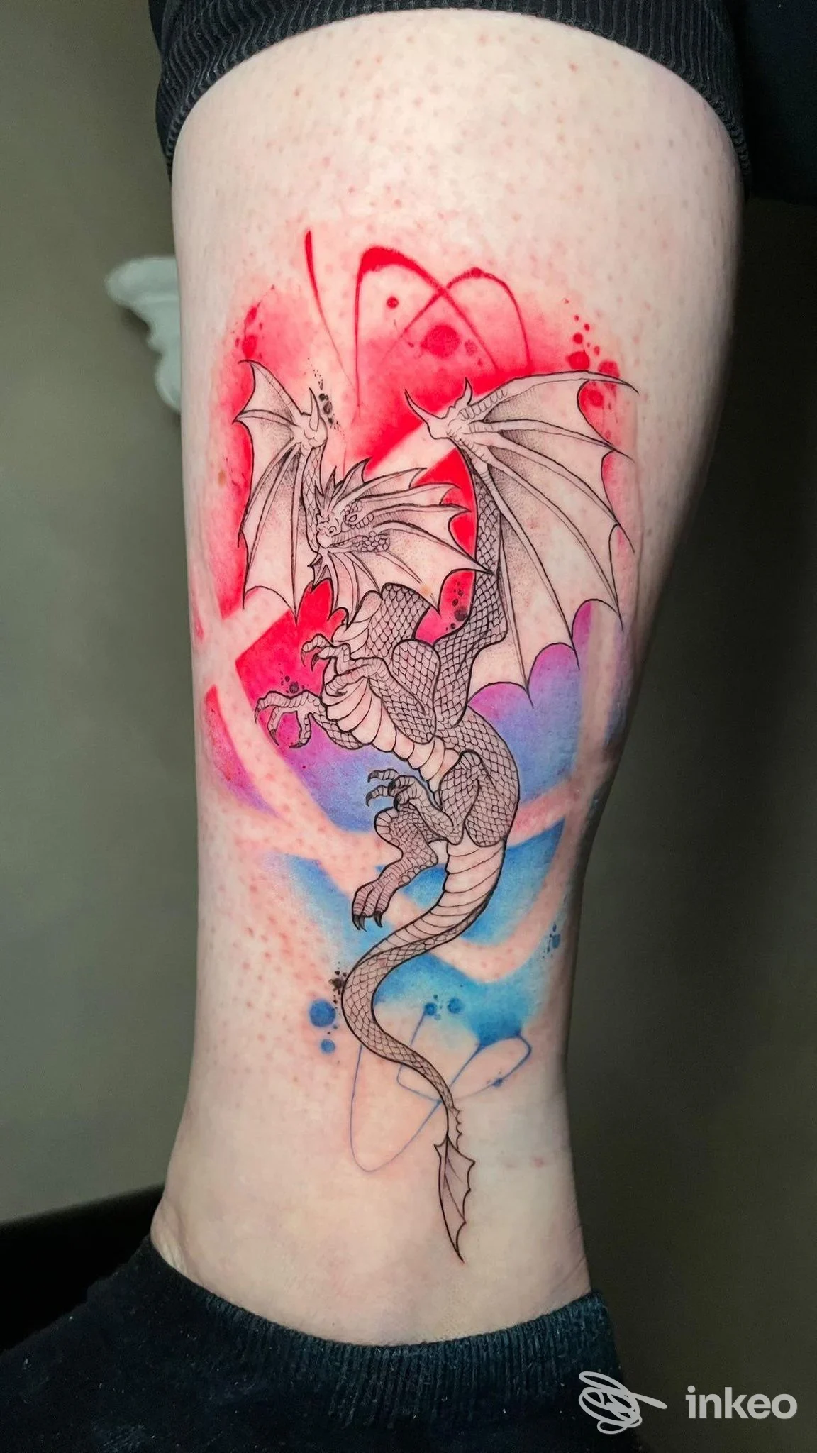 Tatuaggio su gamba raffigurante un drago con sfondo colorato, realizzato sulla pelle, senza volto umano visibile. Studio Malavida Tattoo.