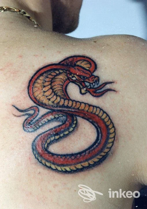 Tatuaggio cobra su spalla, realizzato da Tattoo, Lucha y Rock’n’Roll a Pescara, colori vividi e linea nera marcata.
