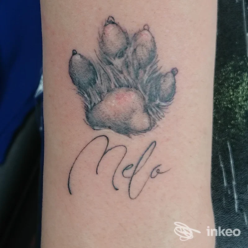 Tatuaggio su pelle raffigurante una zampa di animale in stile realistico con nome Melo scritto in corsivo elegante.