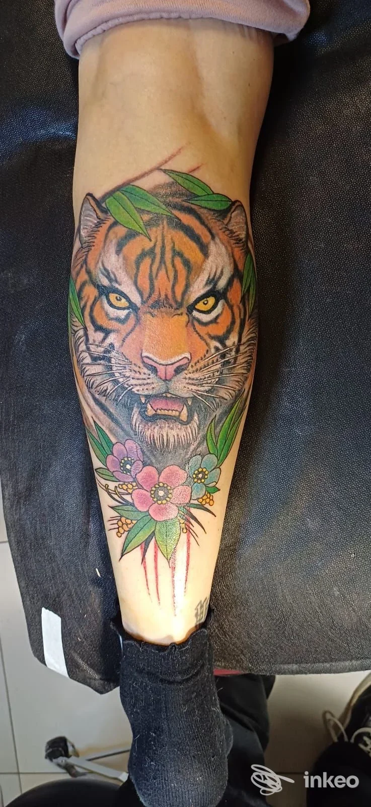 Tattoo completo di tigre colorata su polpaccio, con fiori rosa e foglie verdi; colore e linee nitide, tatuaggio realizzato sulla pelle.