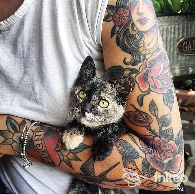 Braccio di una persona pieno di tatuaggi colorati che tiene carinamente un gattino, foto di una pelle tatuata senza overlay sociale, proveniente dallo studio 16th Ball a Lanciano.