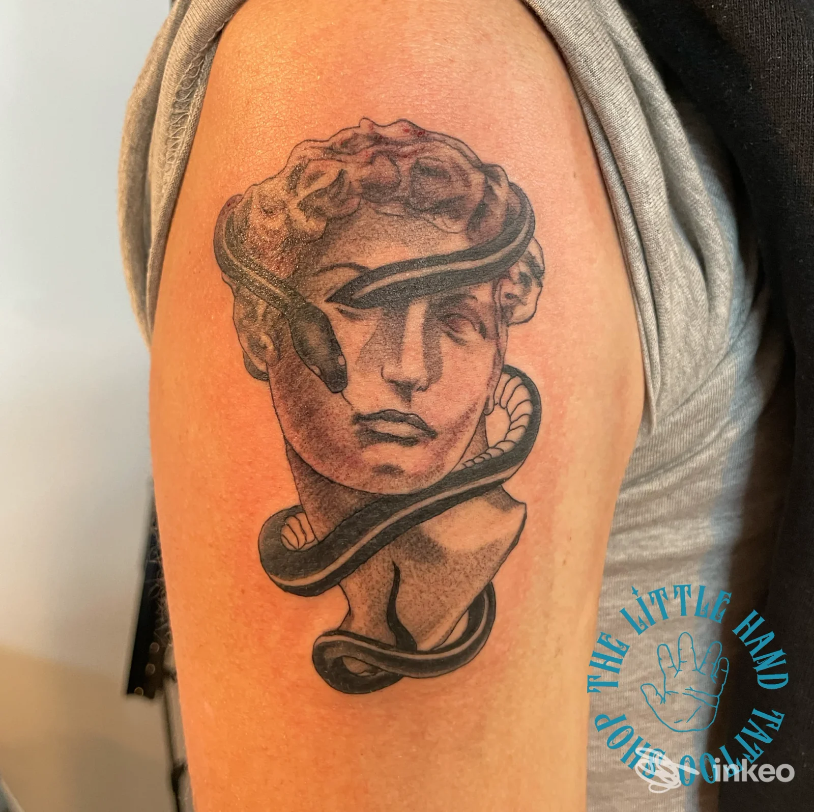 Tatuaggio sull’avambraccio raffigurante una testa classica avvolta da un serpente; eseguito da The Little Hand Tattoo a Chieti.