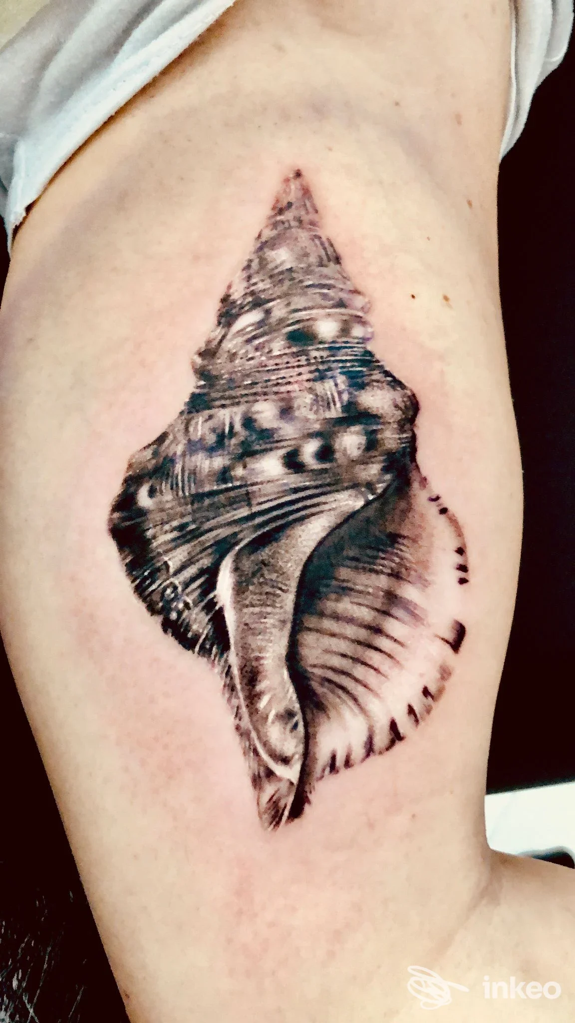 Tattoo realistico su braccio raffigurante una conchiglia stilizzata con dettagli in bianco e nero, in posa su pelle chiara.