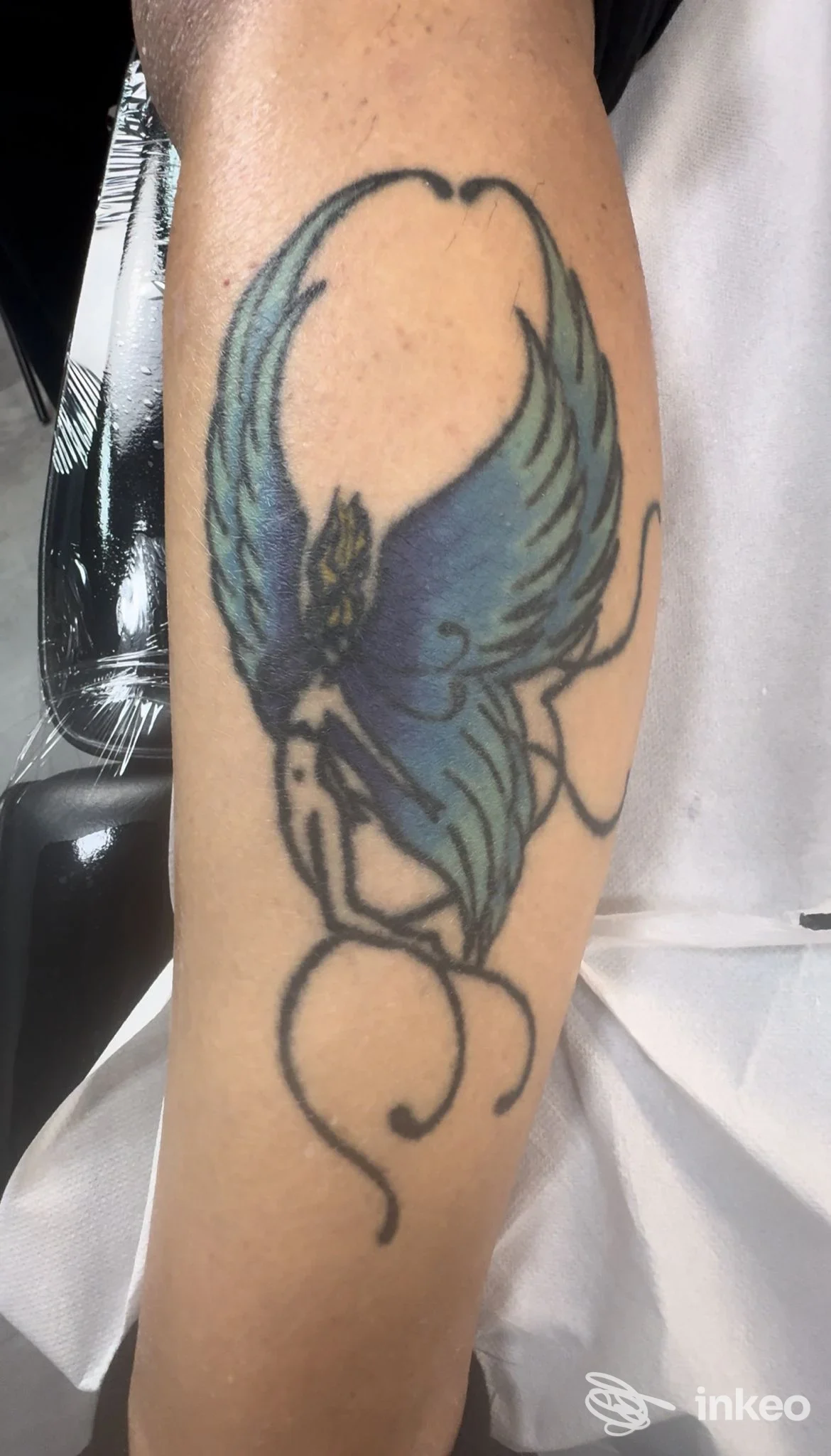 Tatuaggio colorato su braccio raffigurante una fenice stilizzata, eseguito sulla pelle.