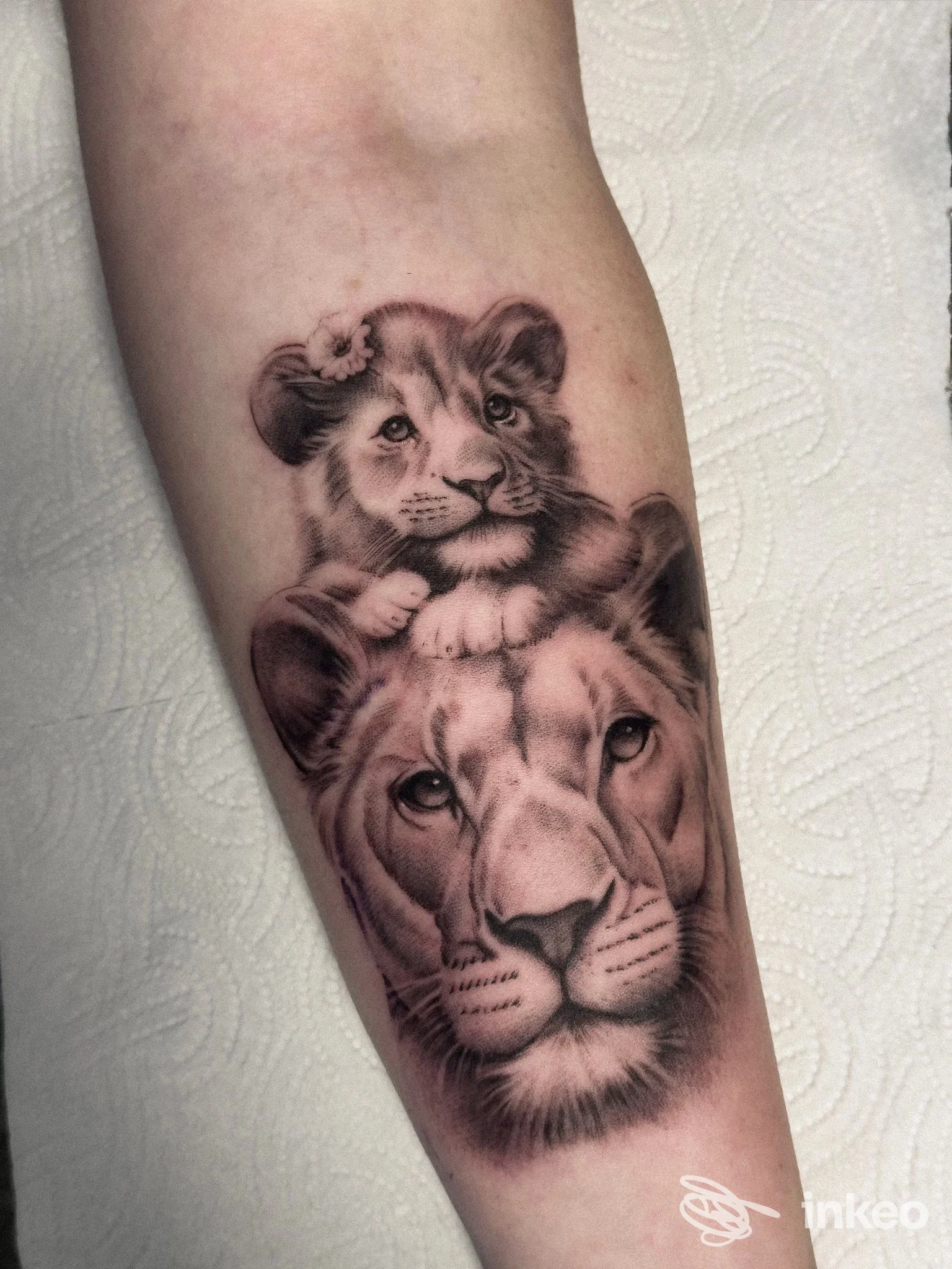 Tatuaggio realistico sull'avambraccio raffigurante un leone adulto con cucciolo sovrapposto, realizzato da Indelebile Tattoo Shop a Cepagatti (Italia).