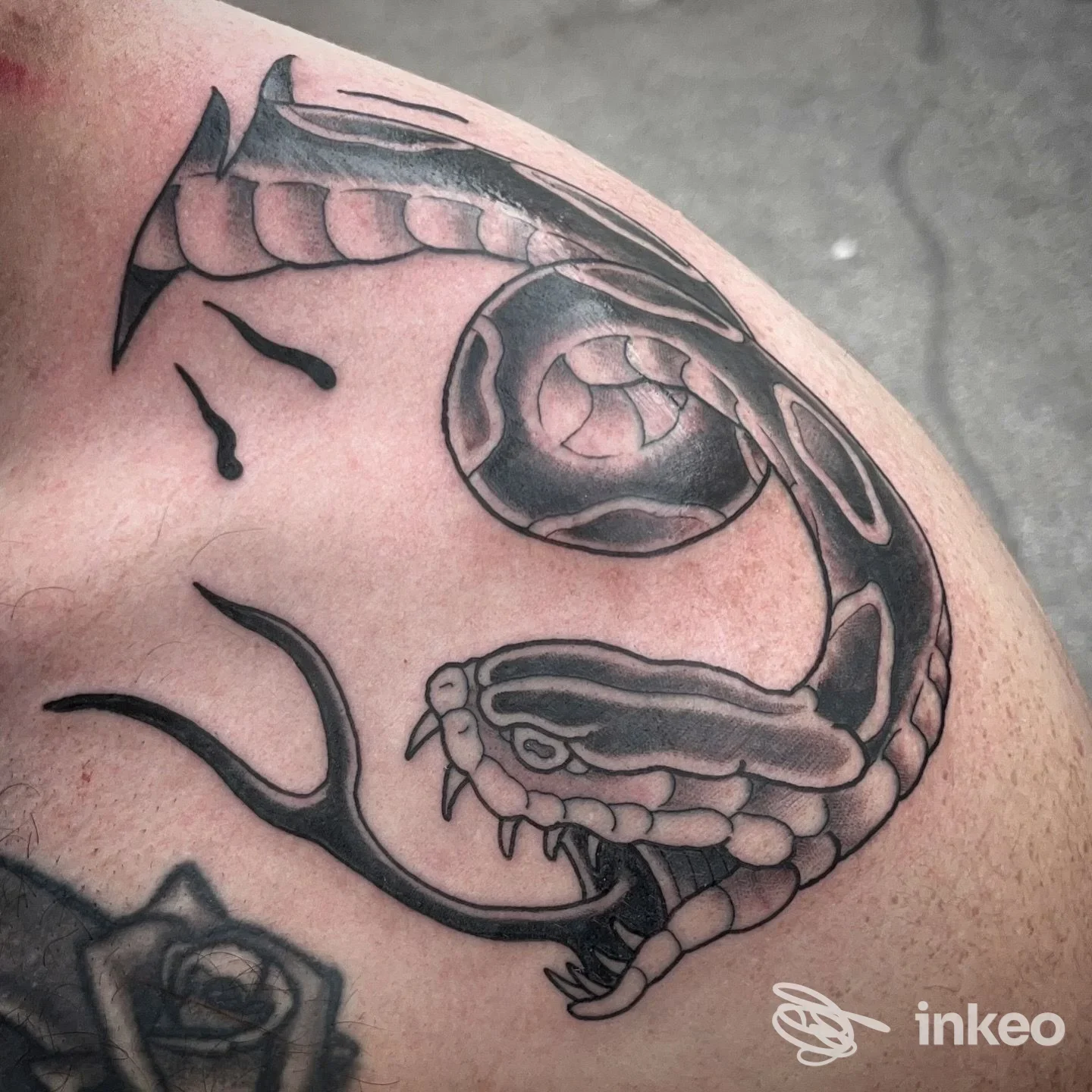 Tattoo raffigurante serpente avvolto attorno al braccio, realizzato con linework e shading, su pelle umana; studio Julia Porter Tattoo, Montesilvano.