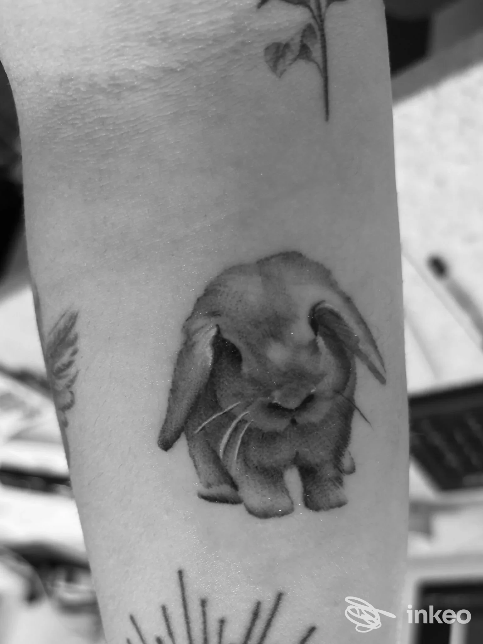 Braccio raffigurante un coniglio realistico in nero, con sfondo chiaro. Lo stile sembra realistico su pelle, tatuaggio ben definito.