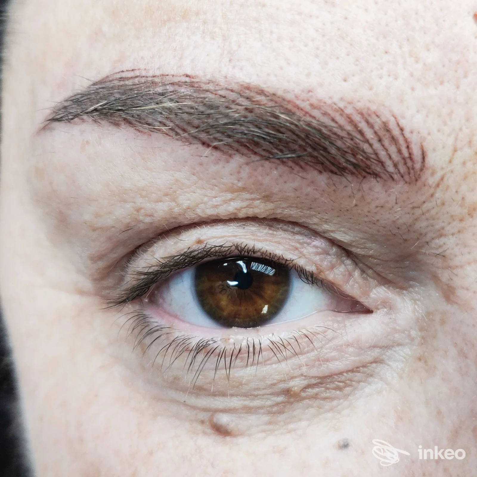 Primo piano di una sopracciglia tatuata (make-up permanente) su pelle chiara, vicino all'occhio; tonalità marrone; sfondo sfocato.