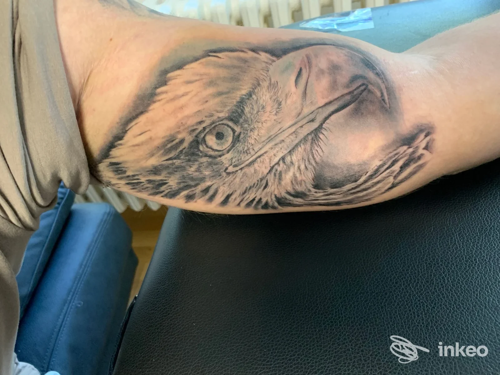 Tattoo realistico di un'aquila sul braccio, in primo piano, senza viso visibile; pezzo di pelle nuda con sfumature in nero, ombre e dettagli dell'occhio dell'uccello.