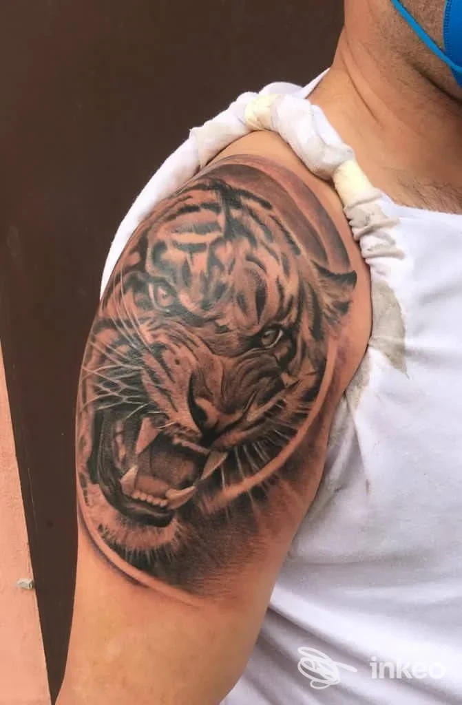 Bras M. avambraccio sinistro con tatuaggio di tigre rifinito, tonalità nere e grigie, fade sfumato, scena luminosa su sfondo uniforme.